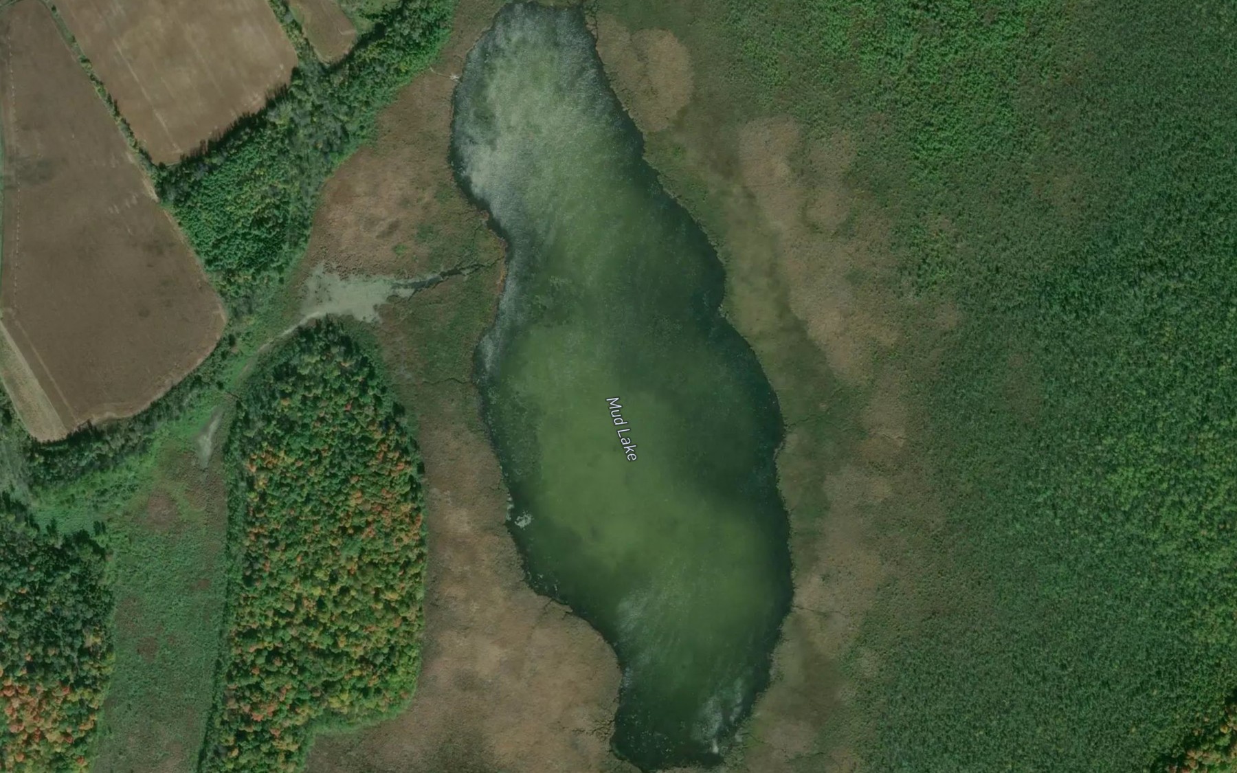 Satellite map of the Mud Lake
