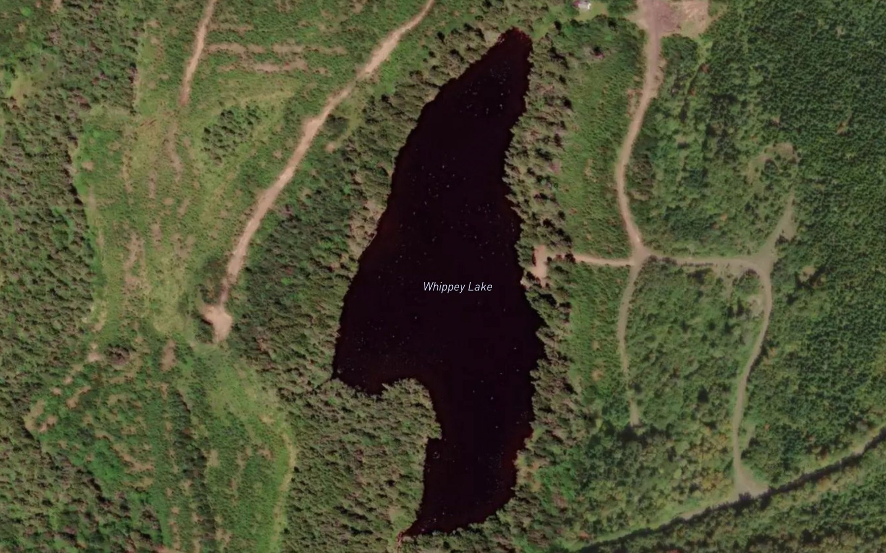Satellite map of the Whippey Lake