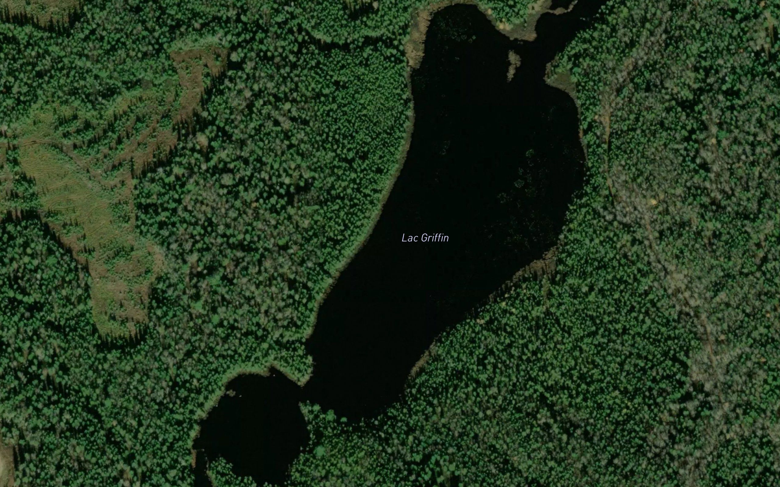 Lac Griffin