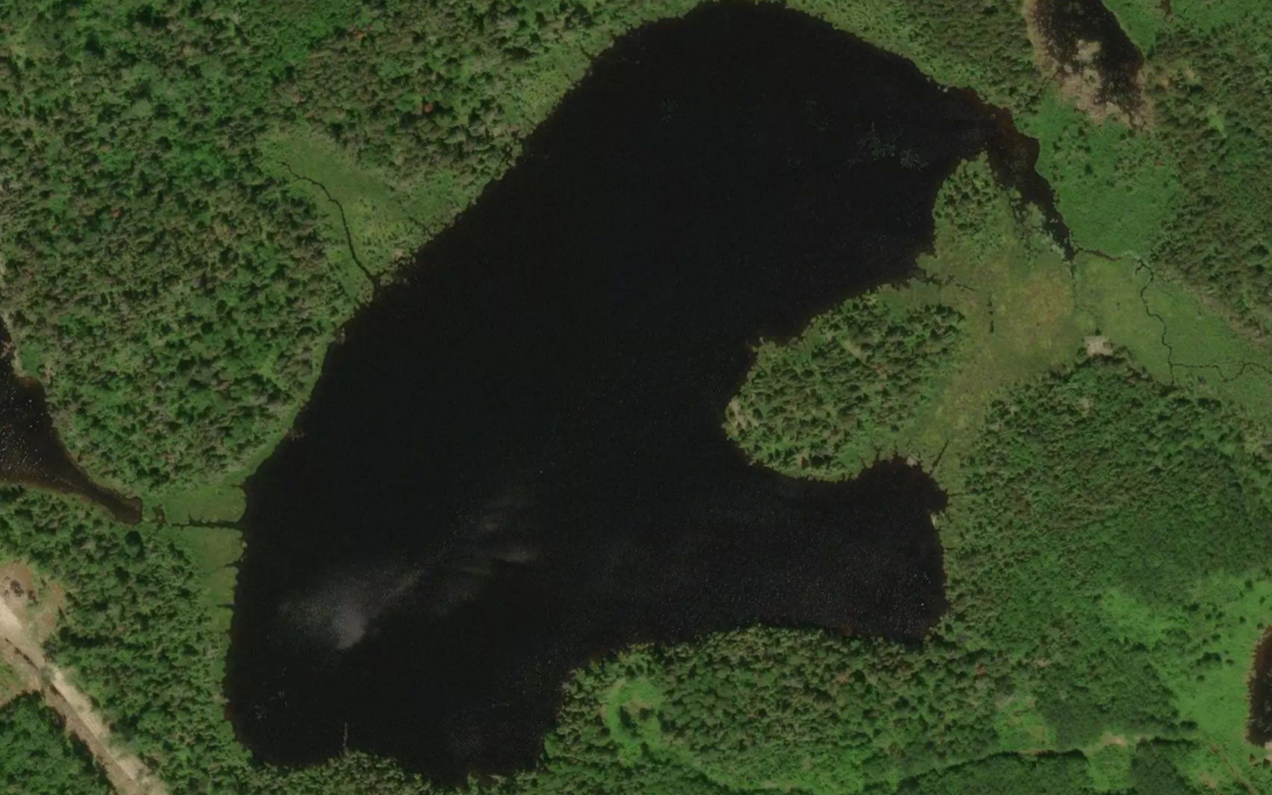 Kincaid Lake