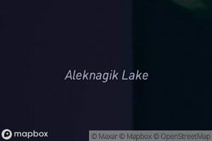 Lake Aleknagik