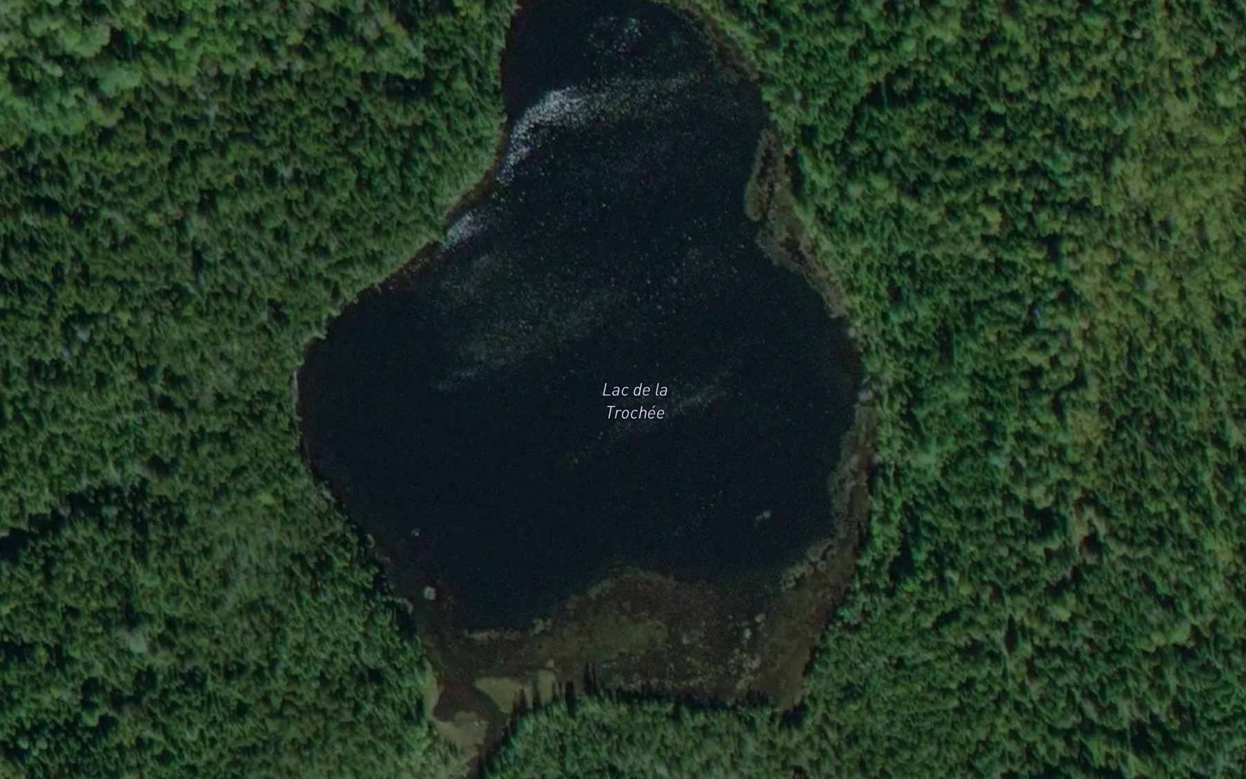 Satellite map of the Lac de la Trochee