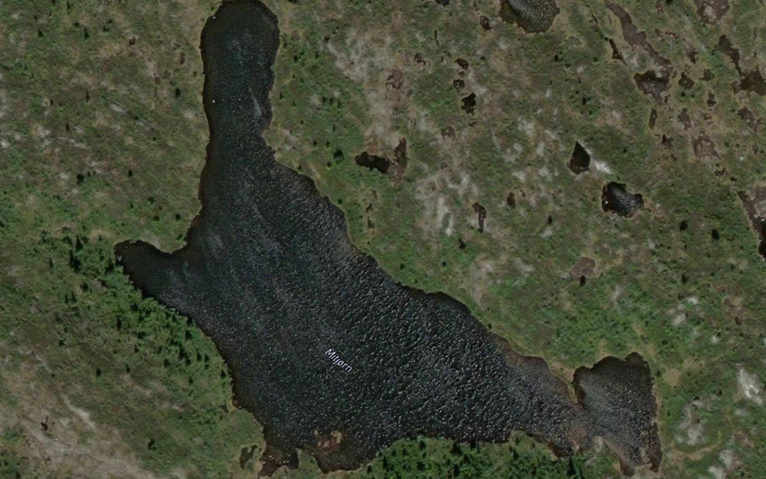 Mitjorn