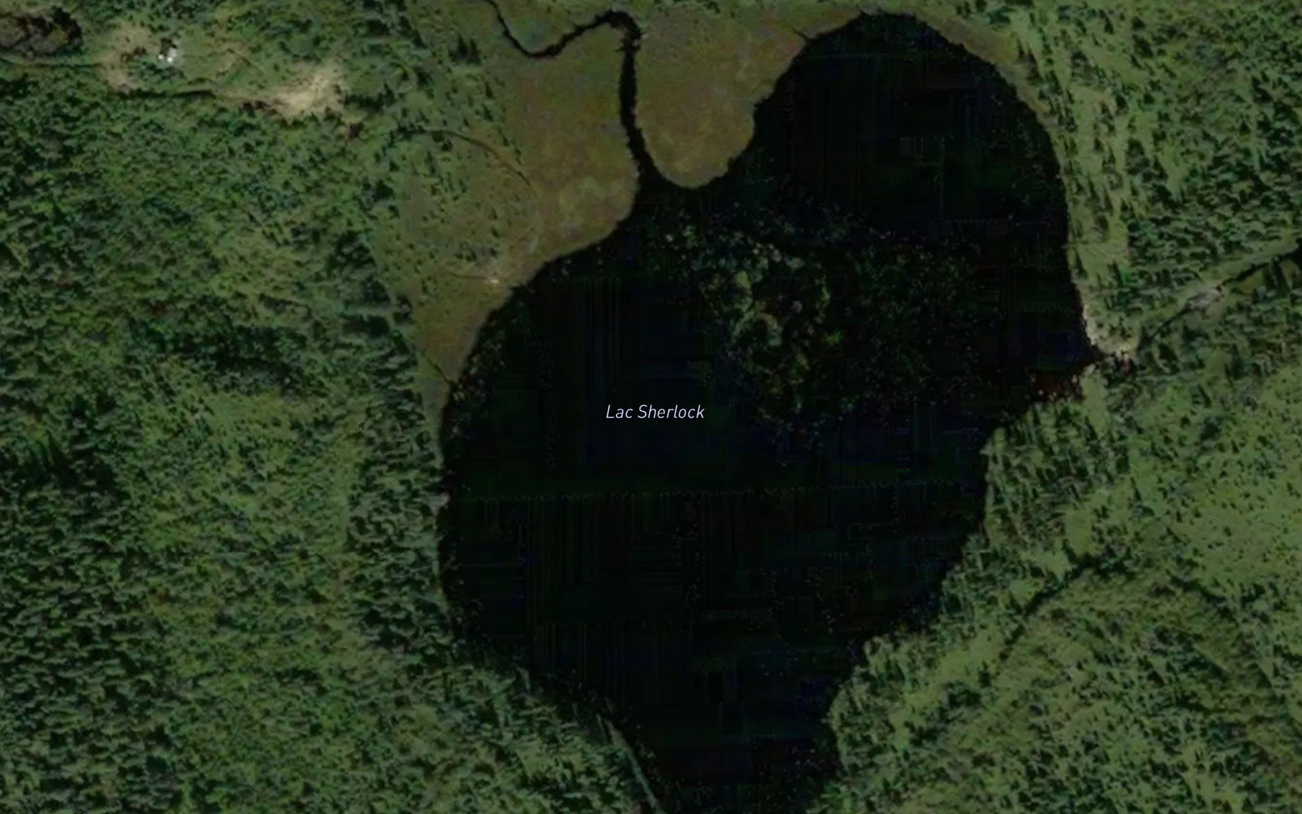 Lac Sherlock