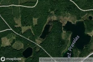 Ezeras Vienavalksnys