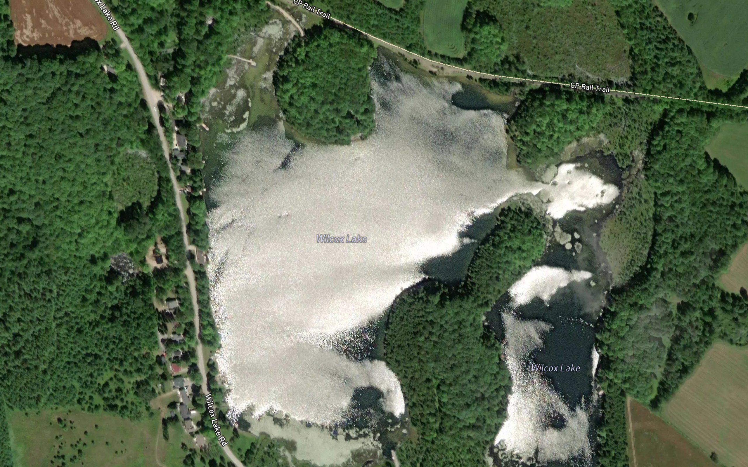 Wilcox Lake