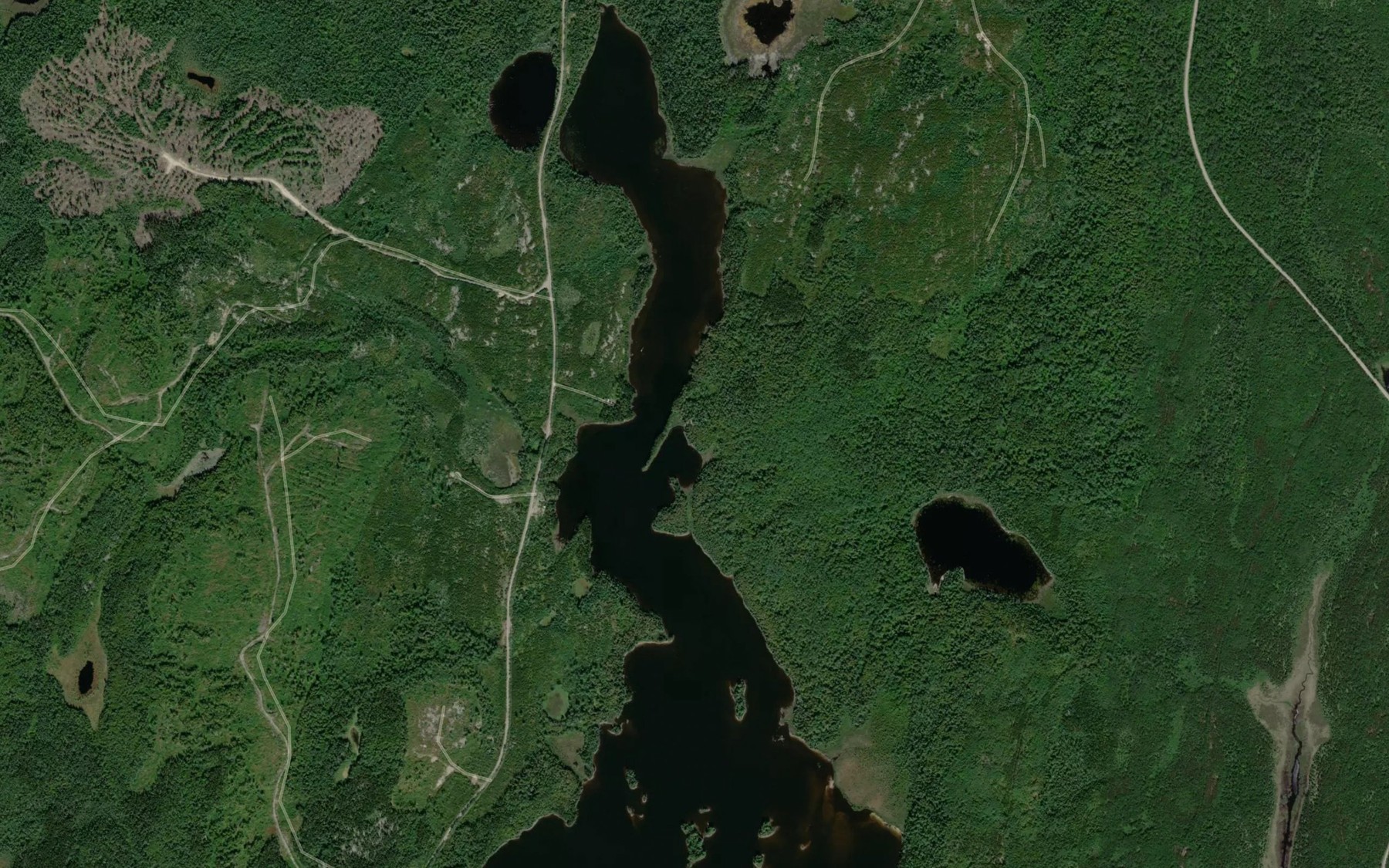 Satellite map of the Beartrack Lake