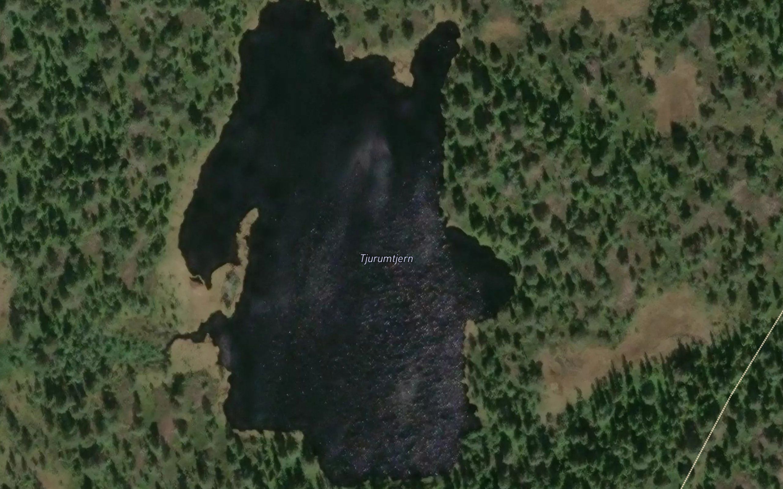 Tjurutjern