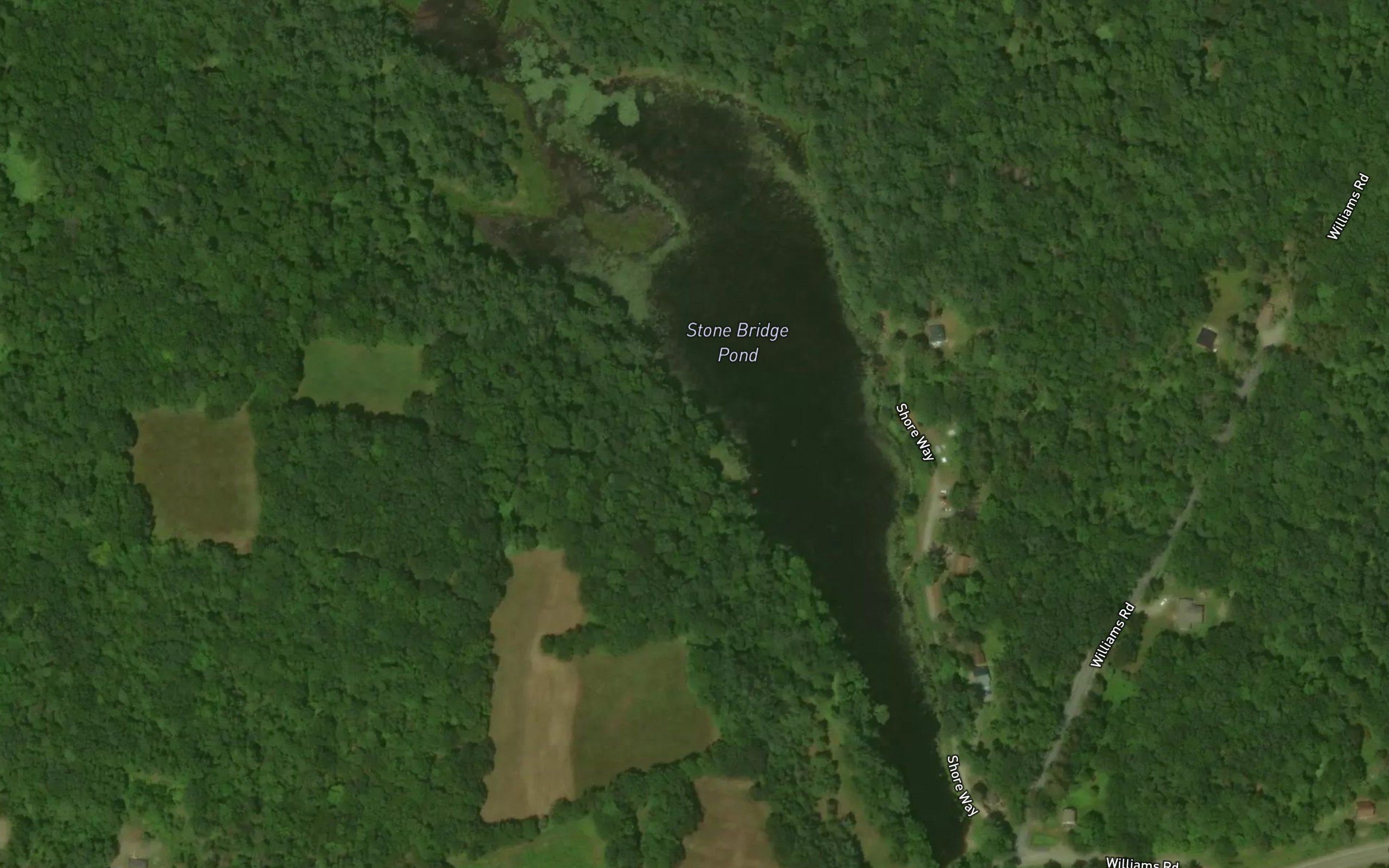 Stone Bridge Pond