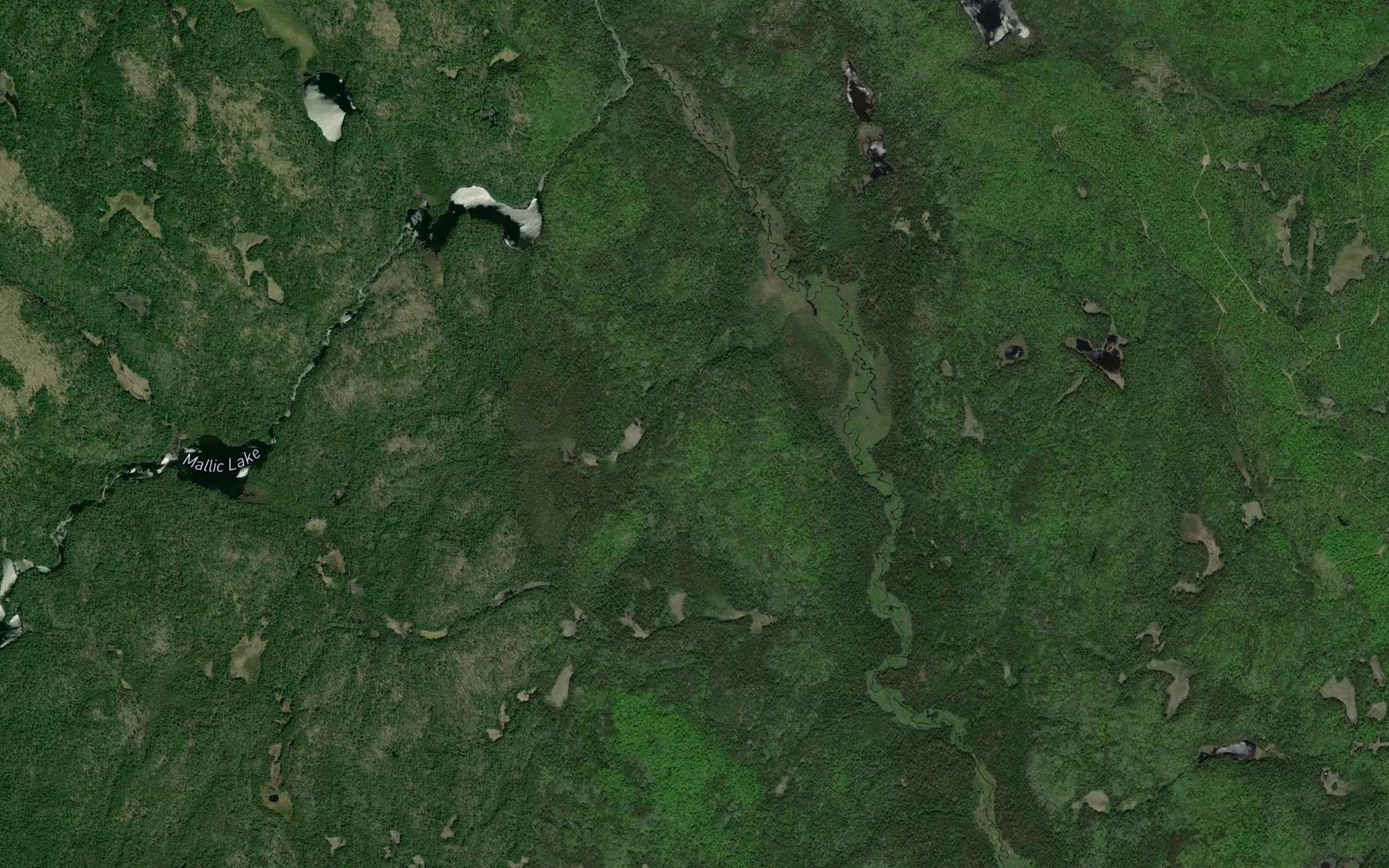 Satellite map of the Paul Creek