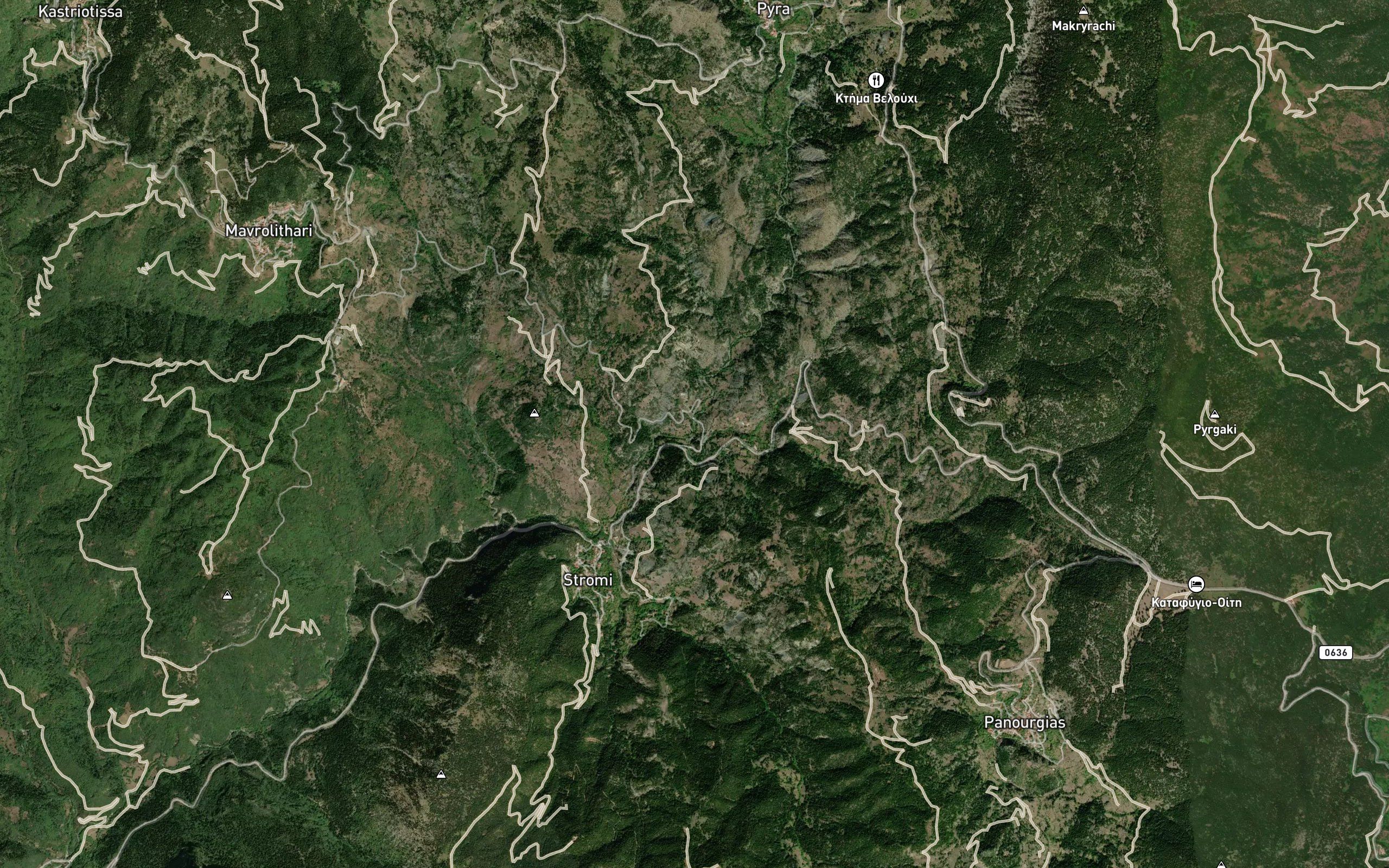Rinorrema