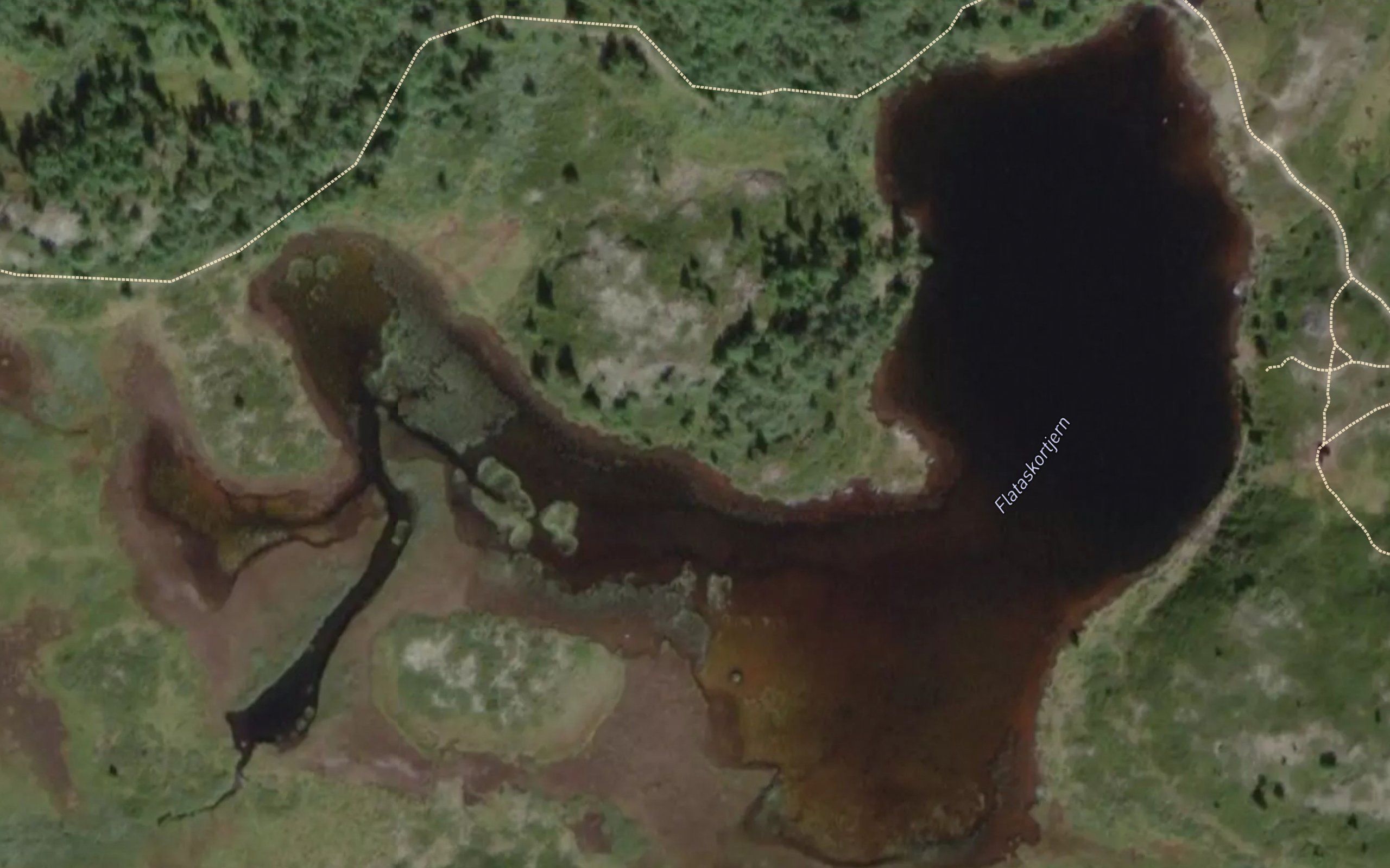 Flataskardtjernet