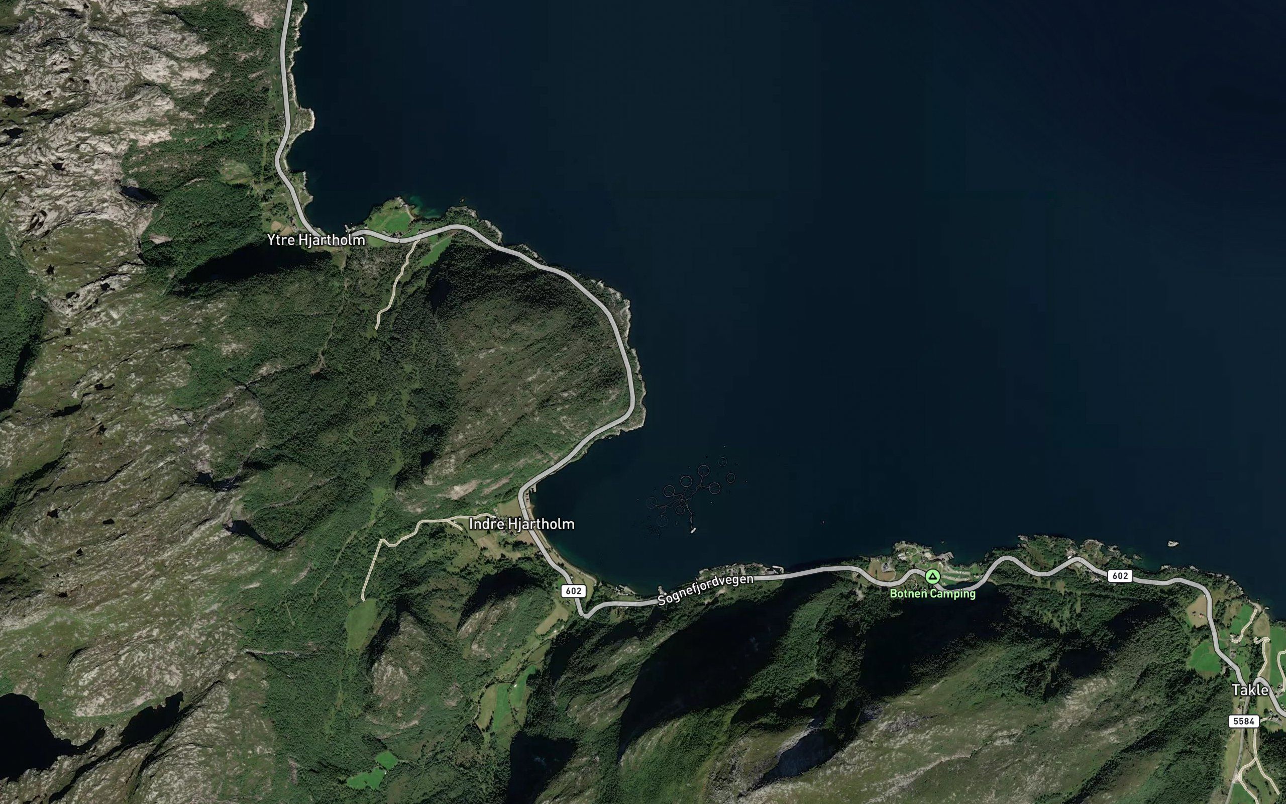 Traesvika