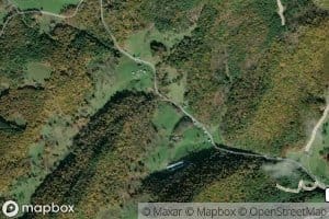 Warren Rexrode Spring