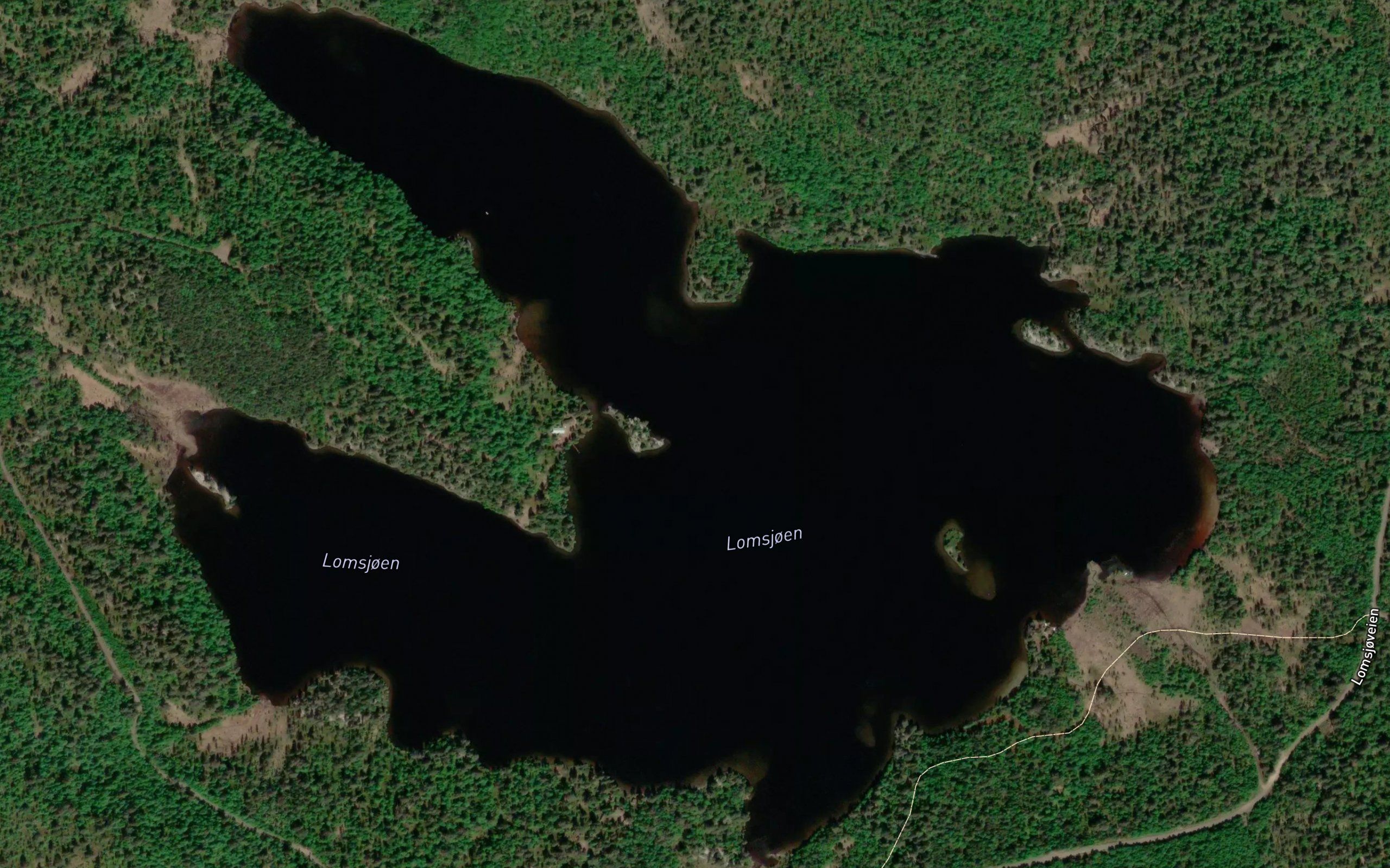 Lomsjoen