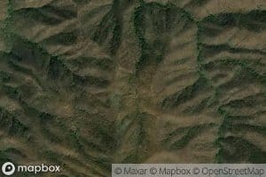 Barranca Ceiba Mocha