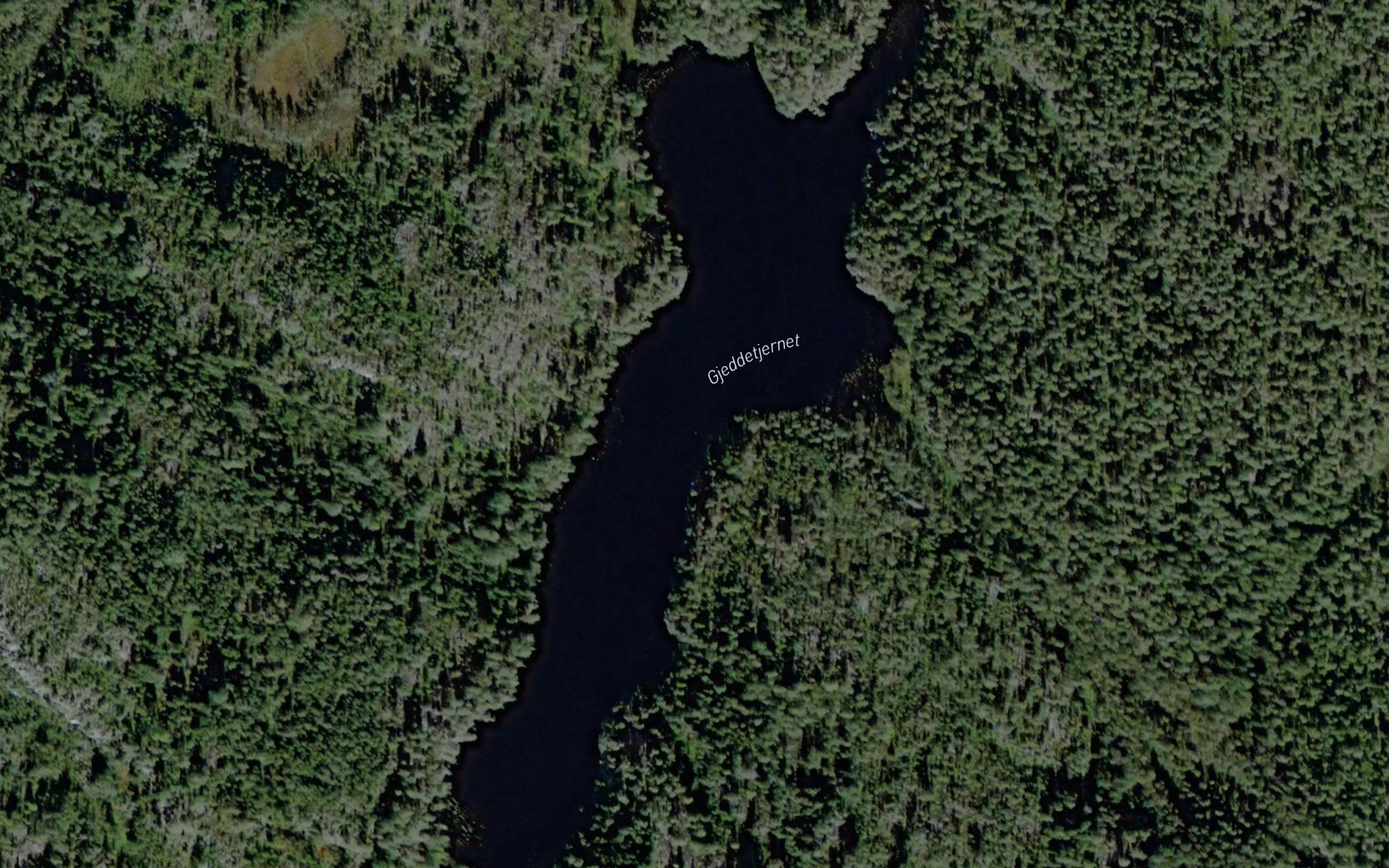 Gjeddetjern