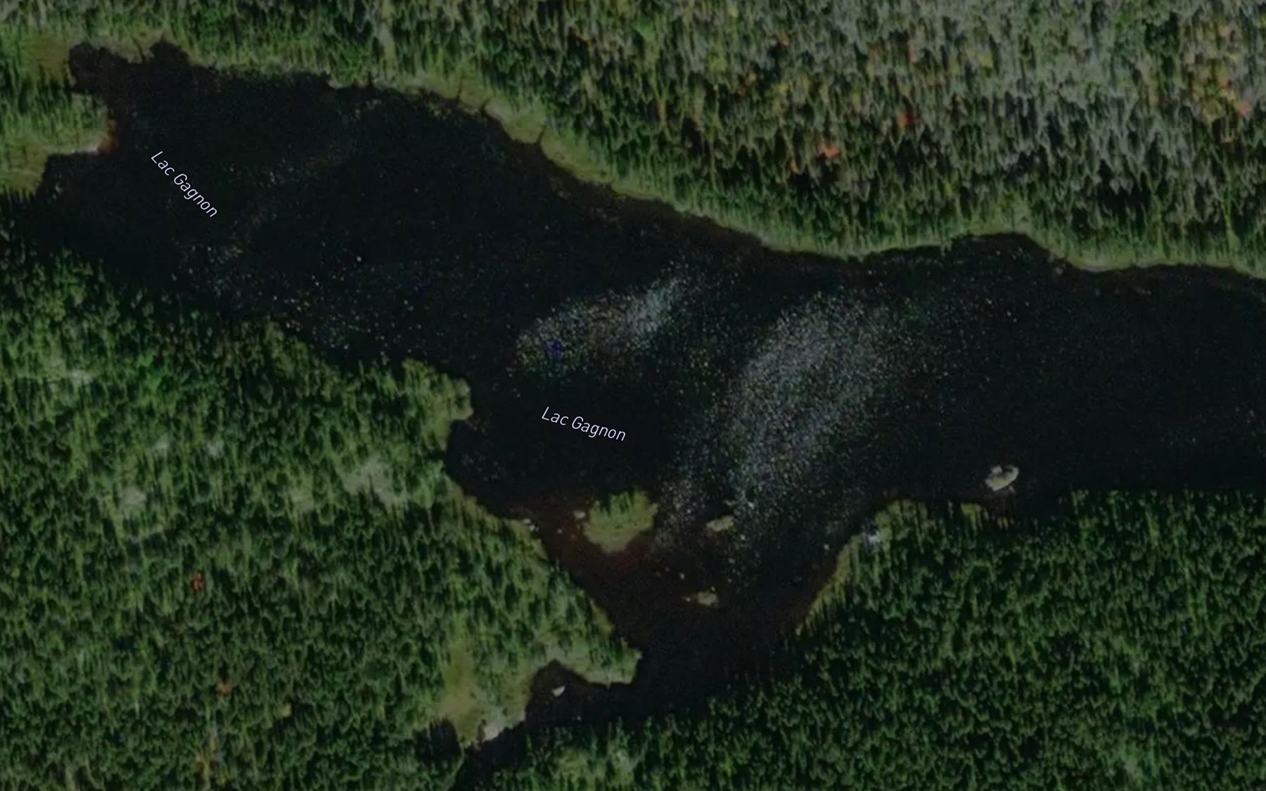 Satellite map of the Lac Gagnon