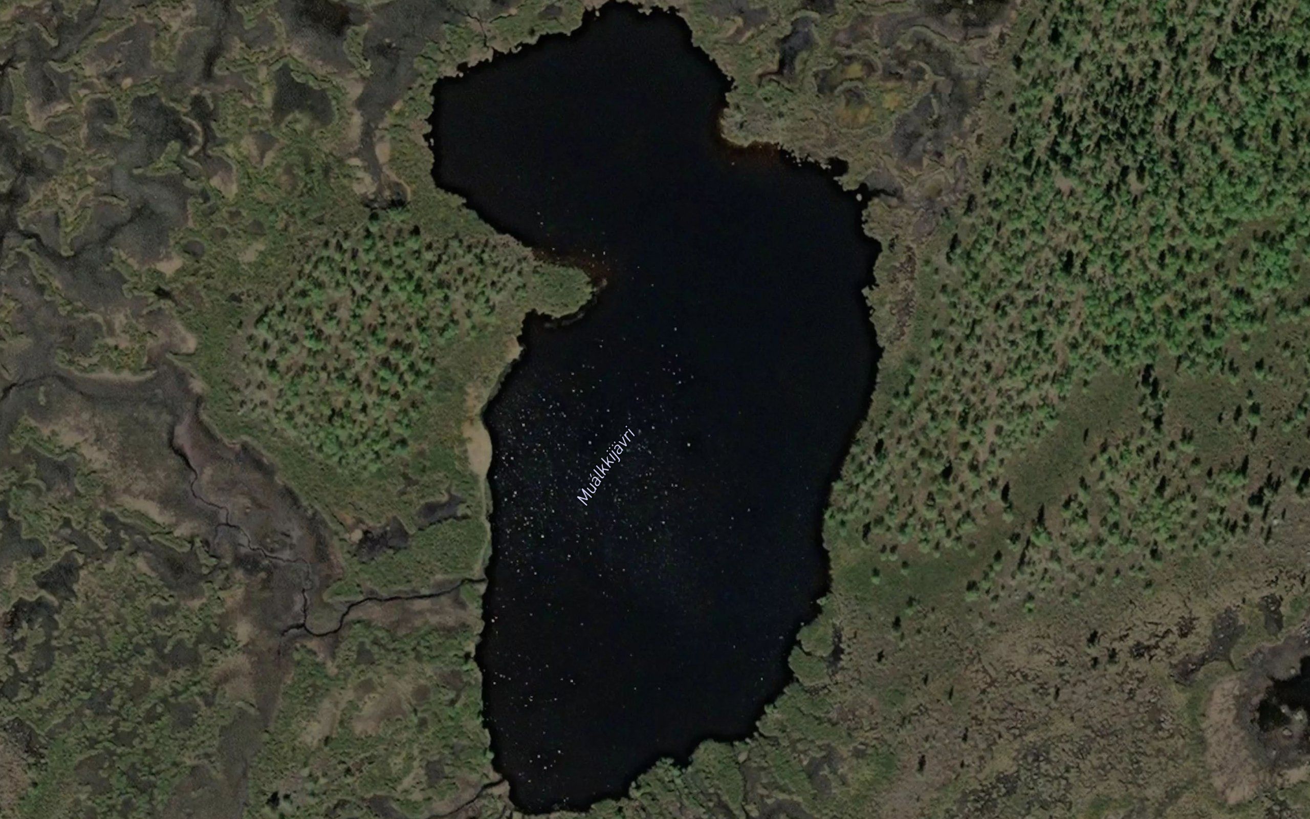 Mualkkijavri