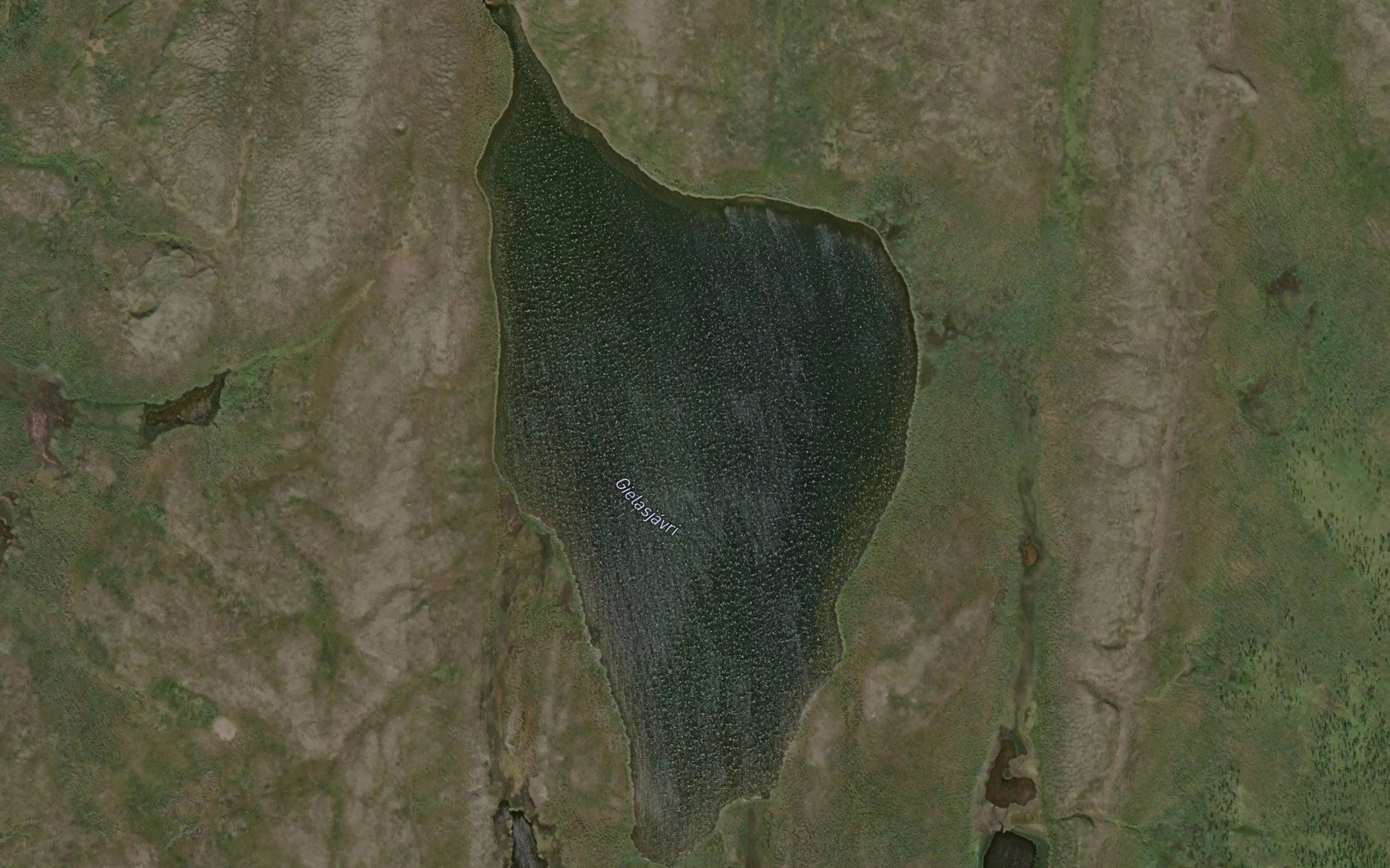Gielasjavri