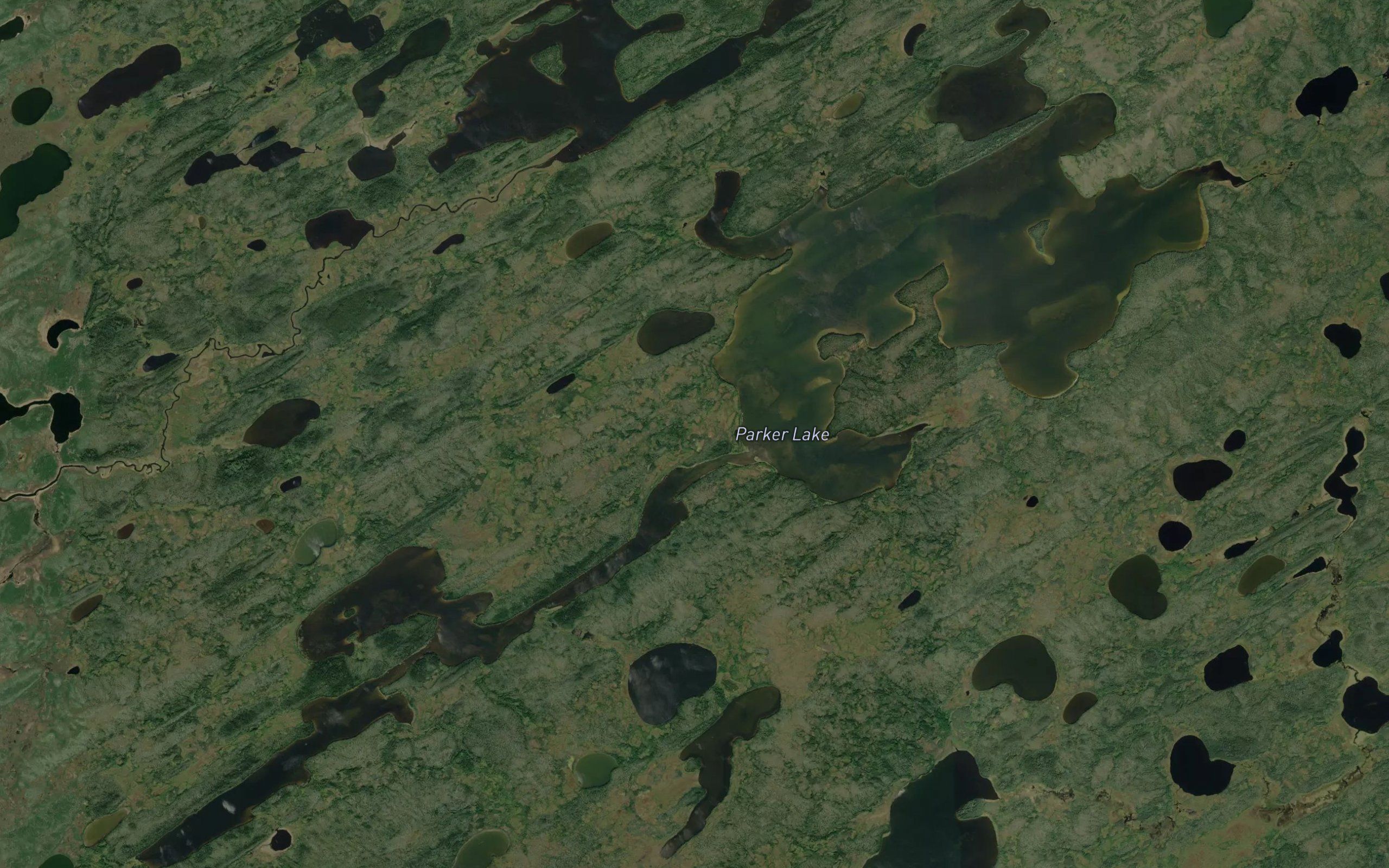 Parker Lake
