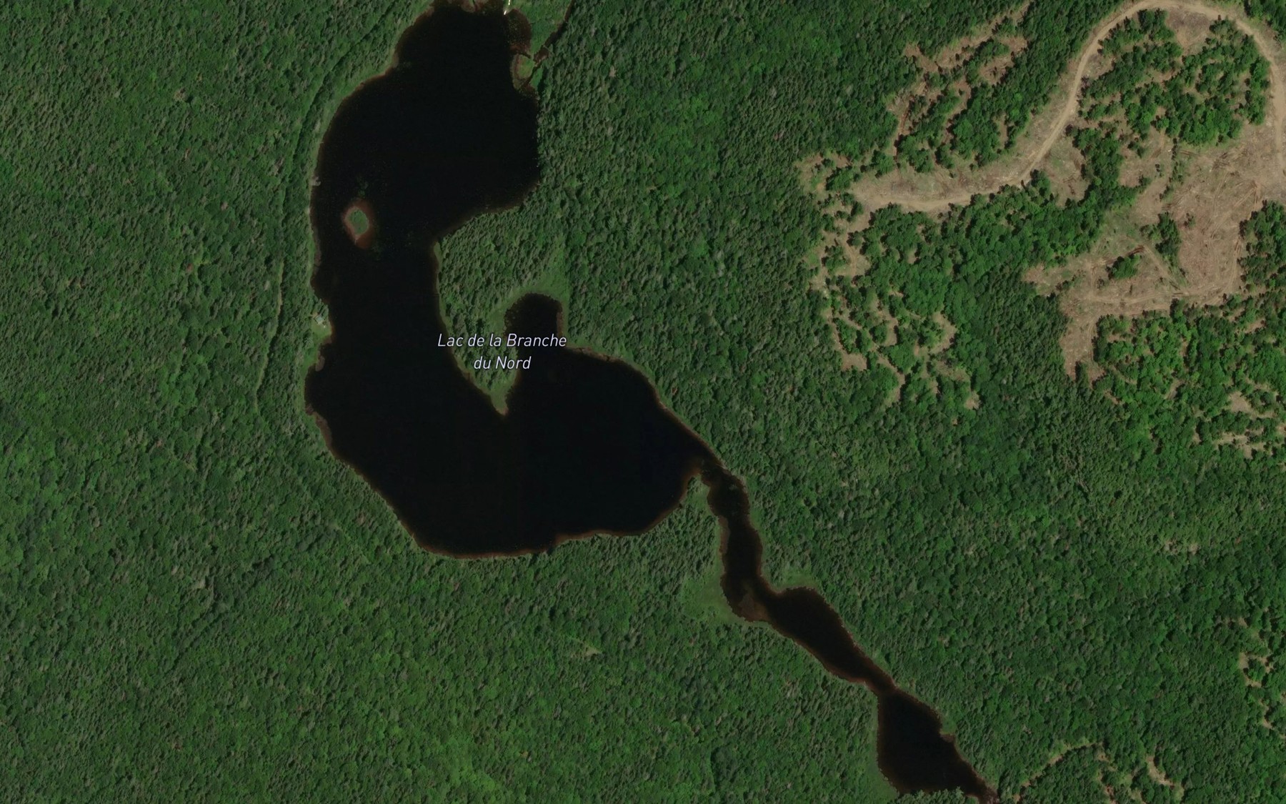 Satellite map of the Lac de la Branche du Nord