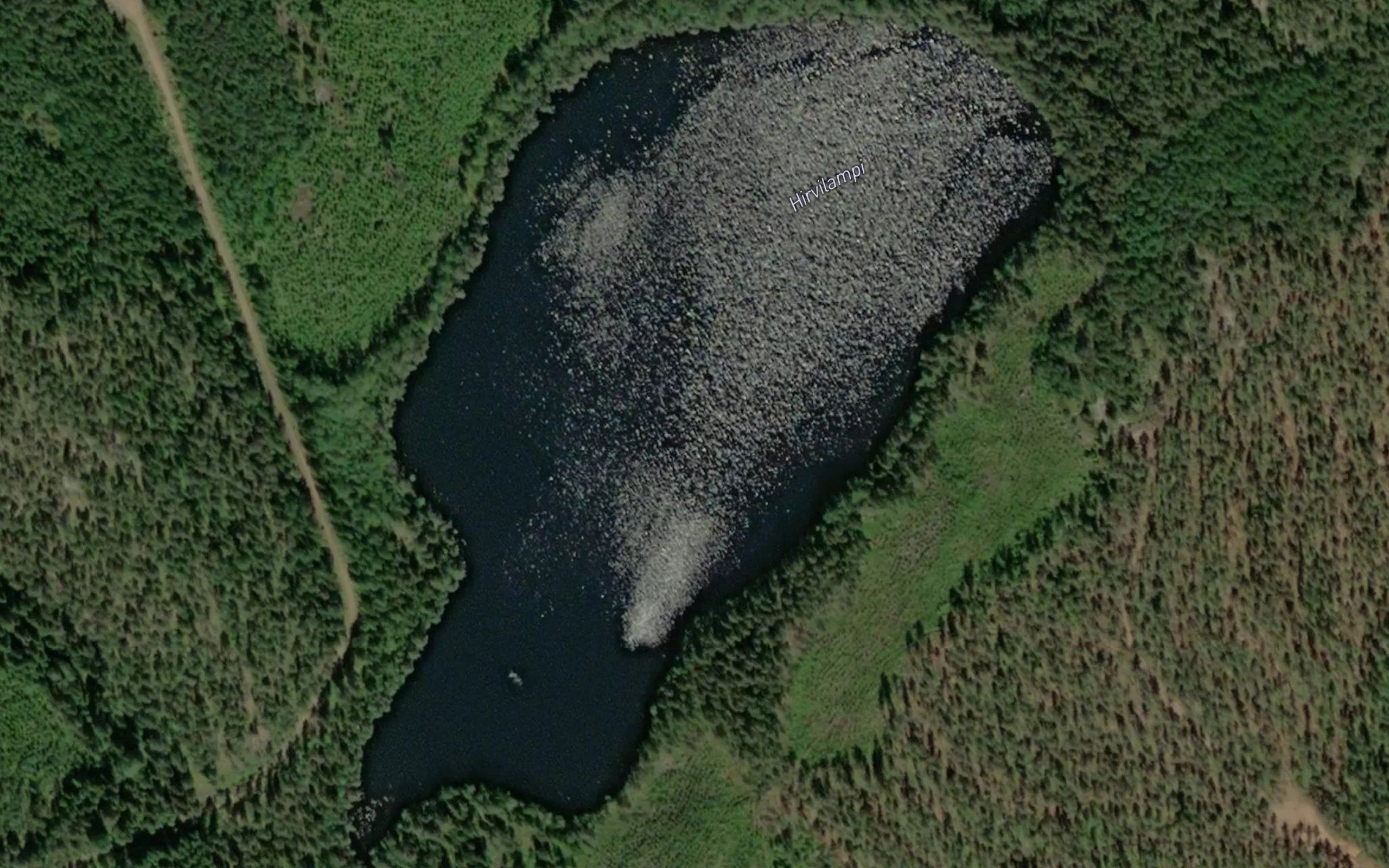 Hirvilampi