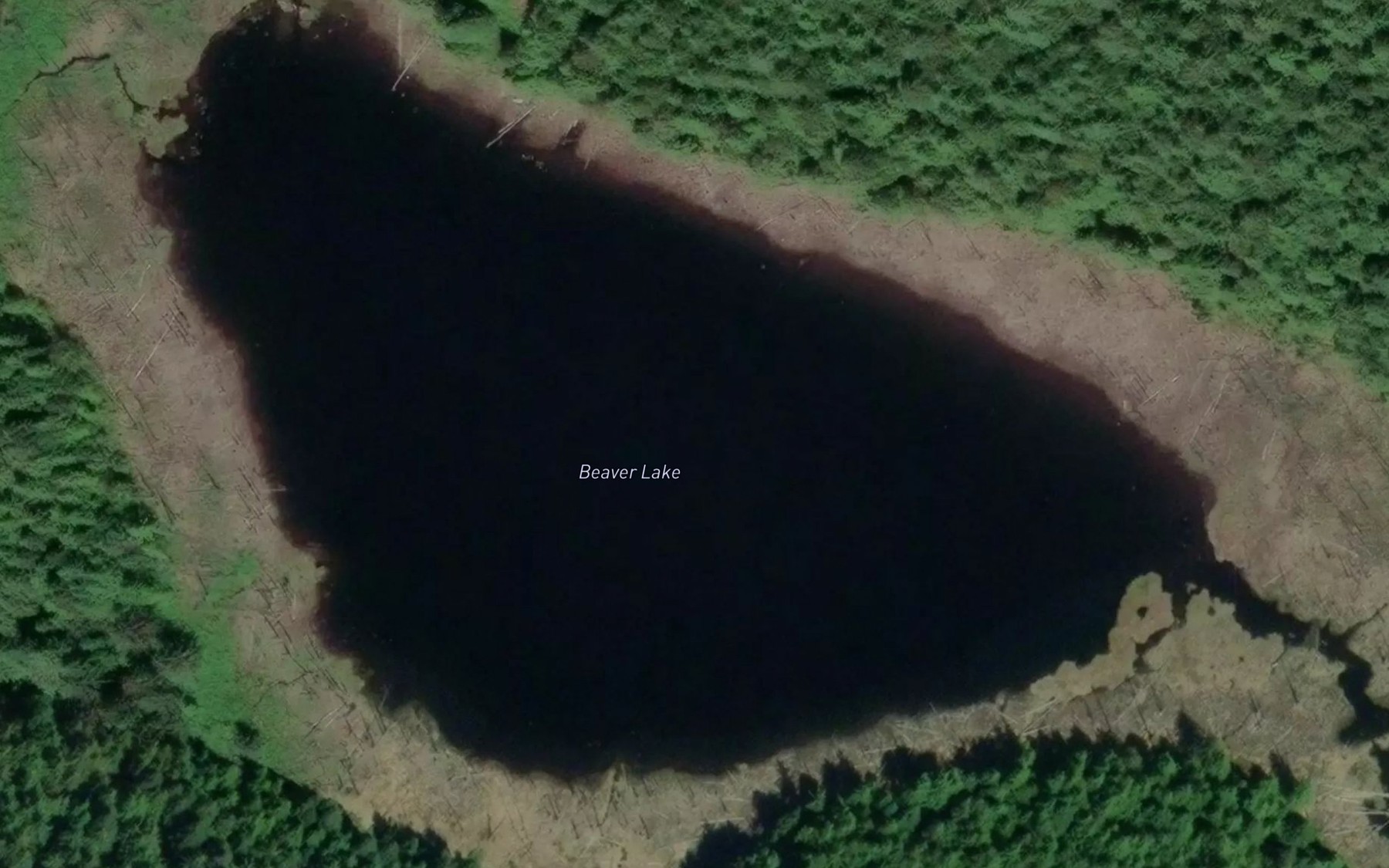 Satellite map of the Beaver Lake