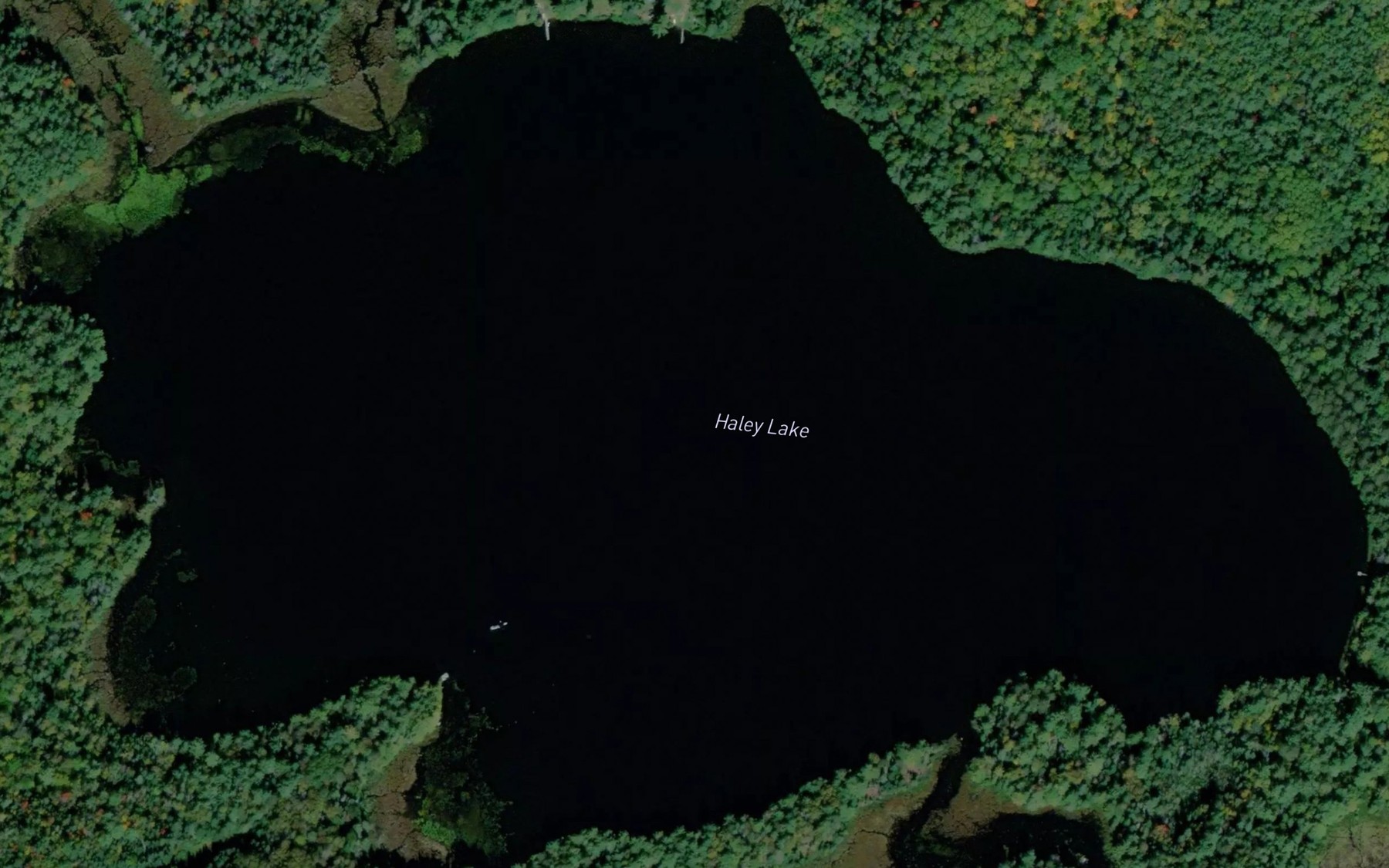 Satellite map of the Haley Lake