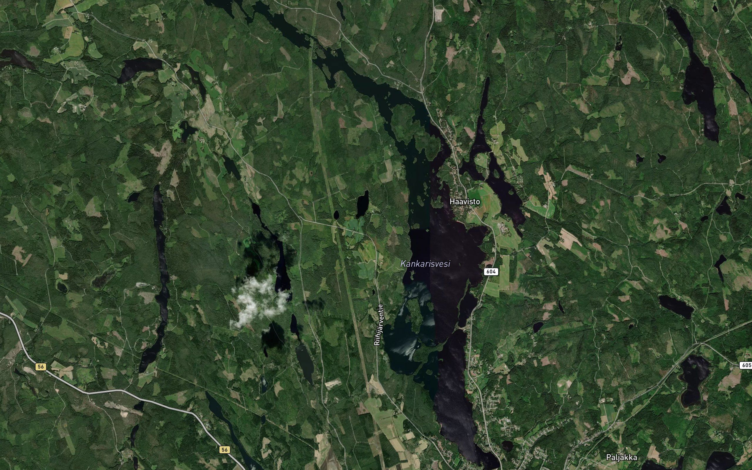 Kankarisvesi
