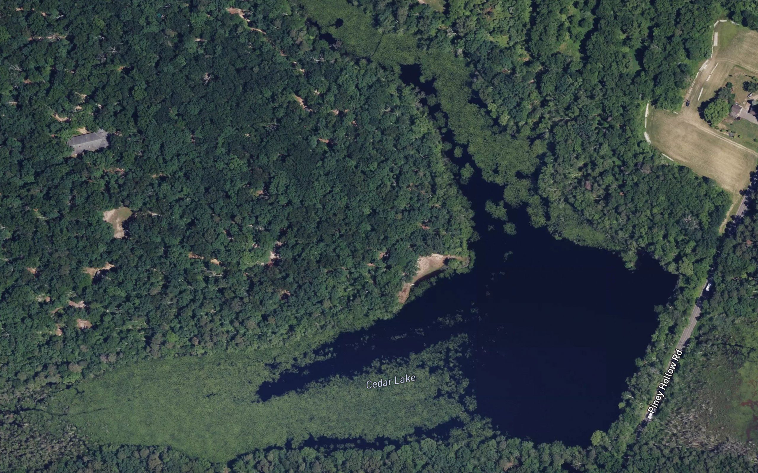 Cedar Lake