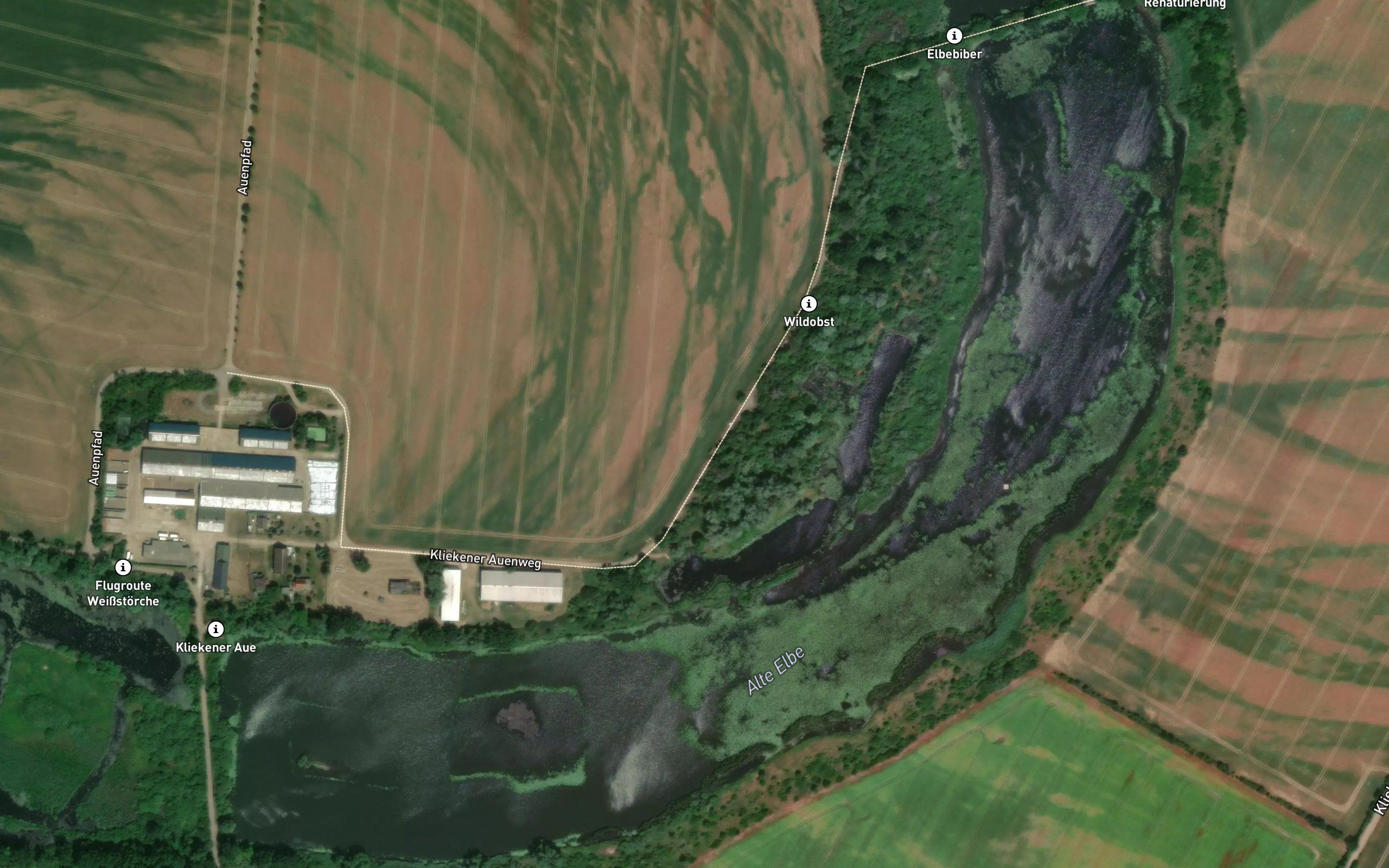 Alte Elbe
