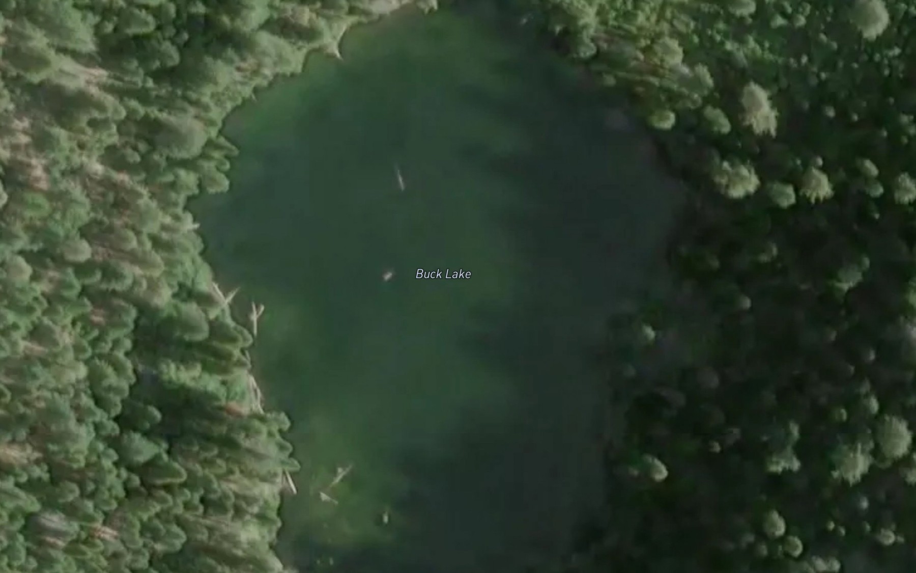 Satellite map of the Buck Lake