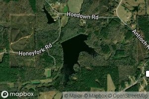 Honeyfork Lake