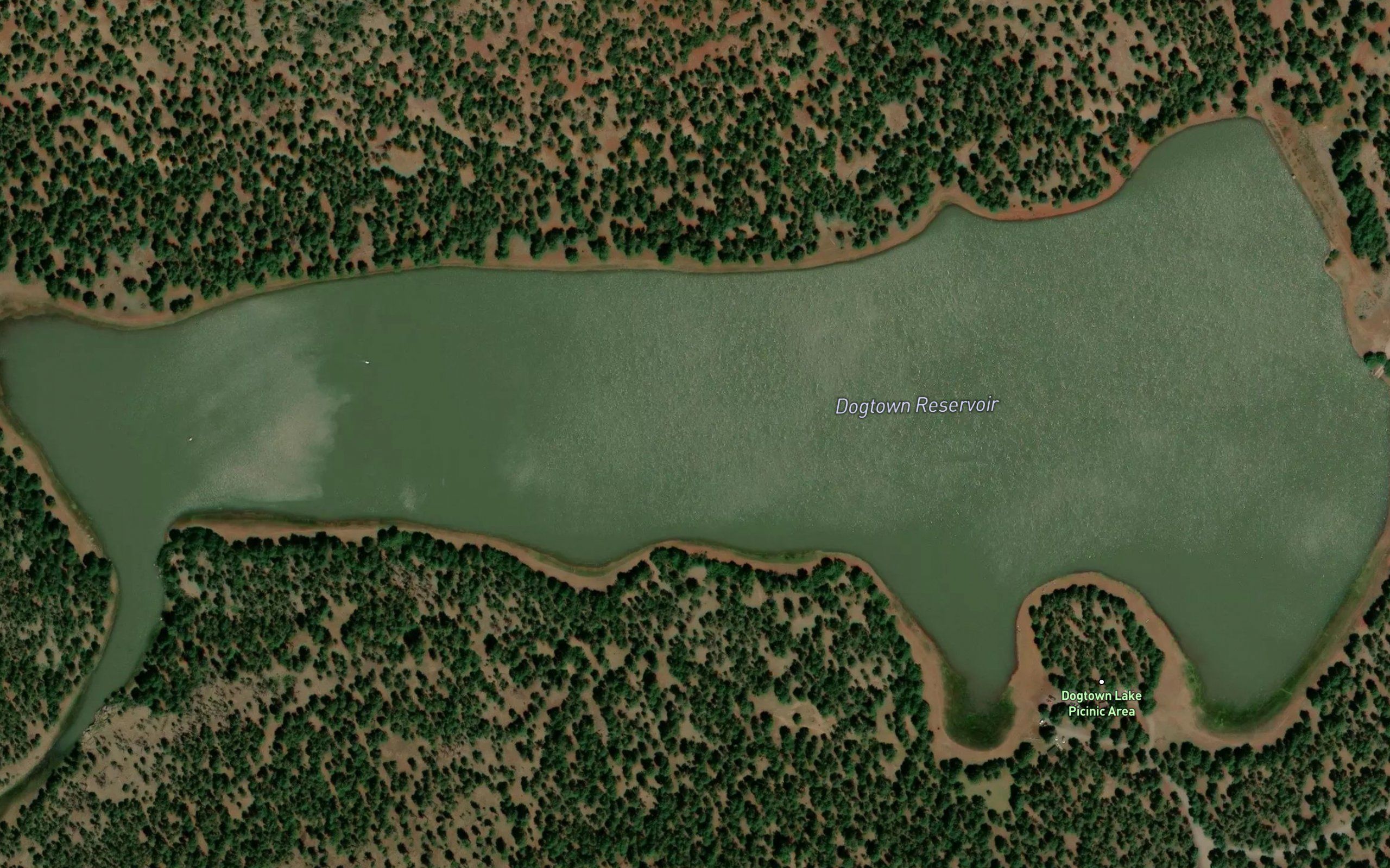 Dogtown Reservoir