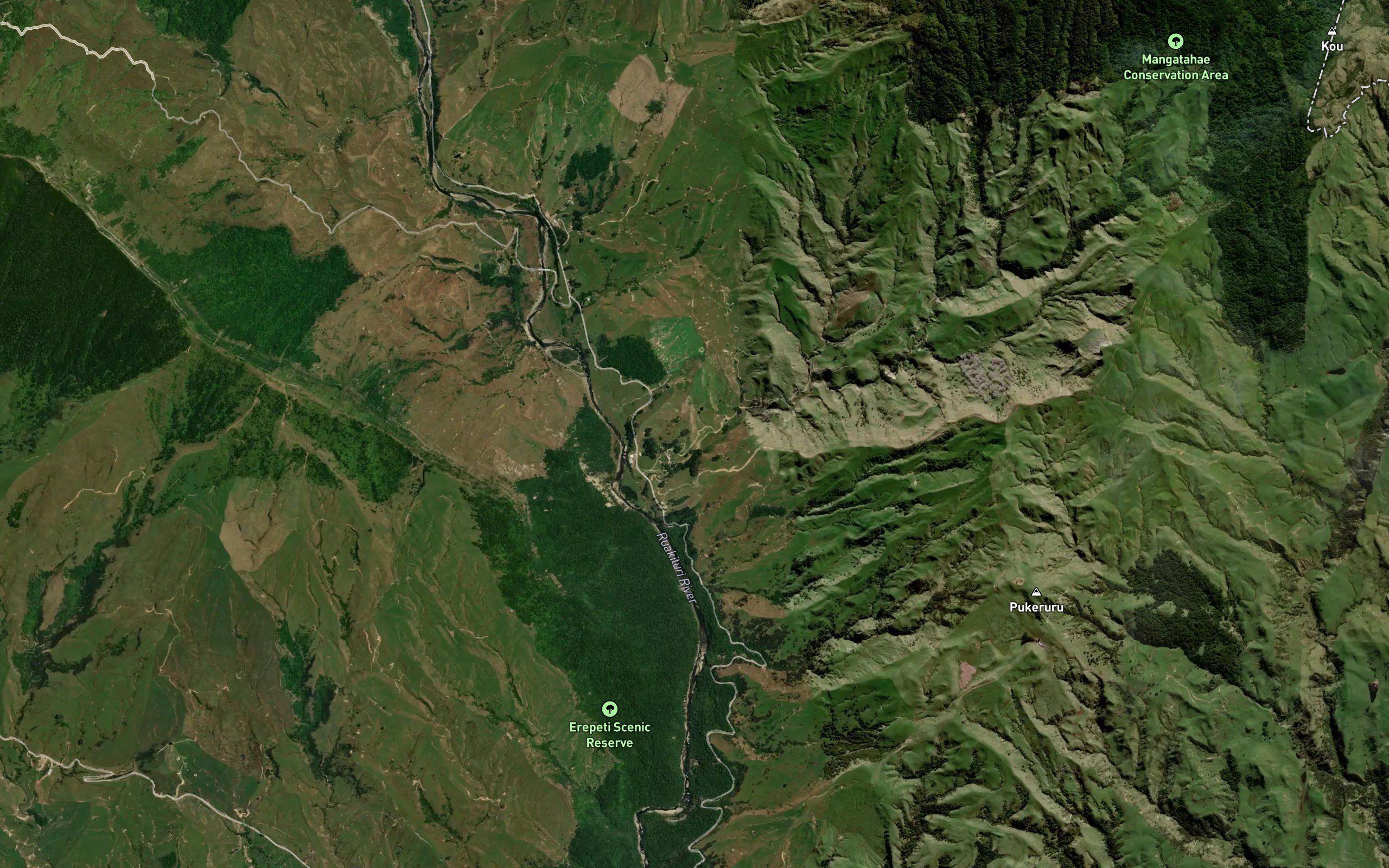 Ngapunarua Stream