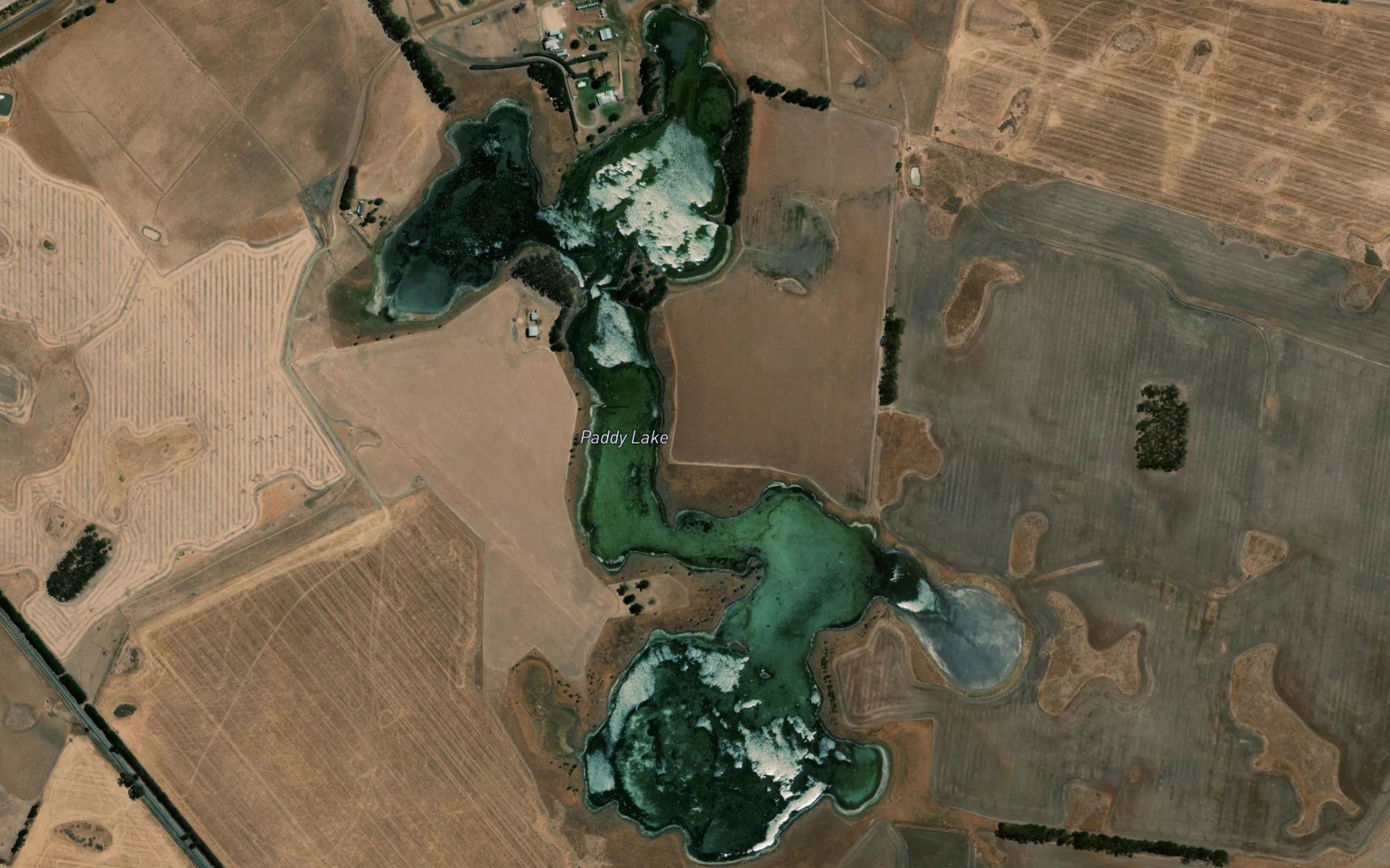 Paddys Lake