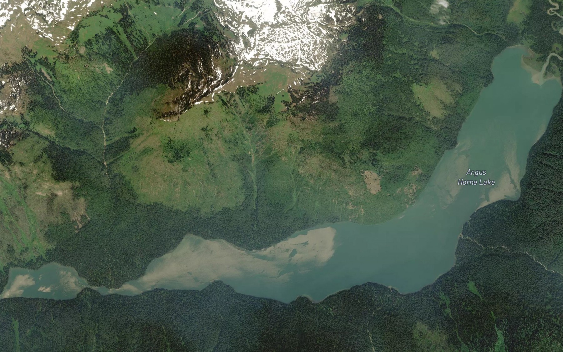 Satellite map of the Angus Horne Lake