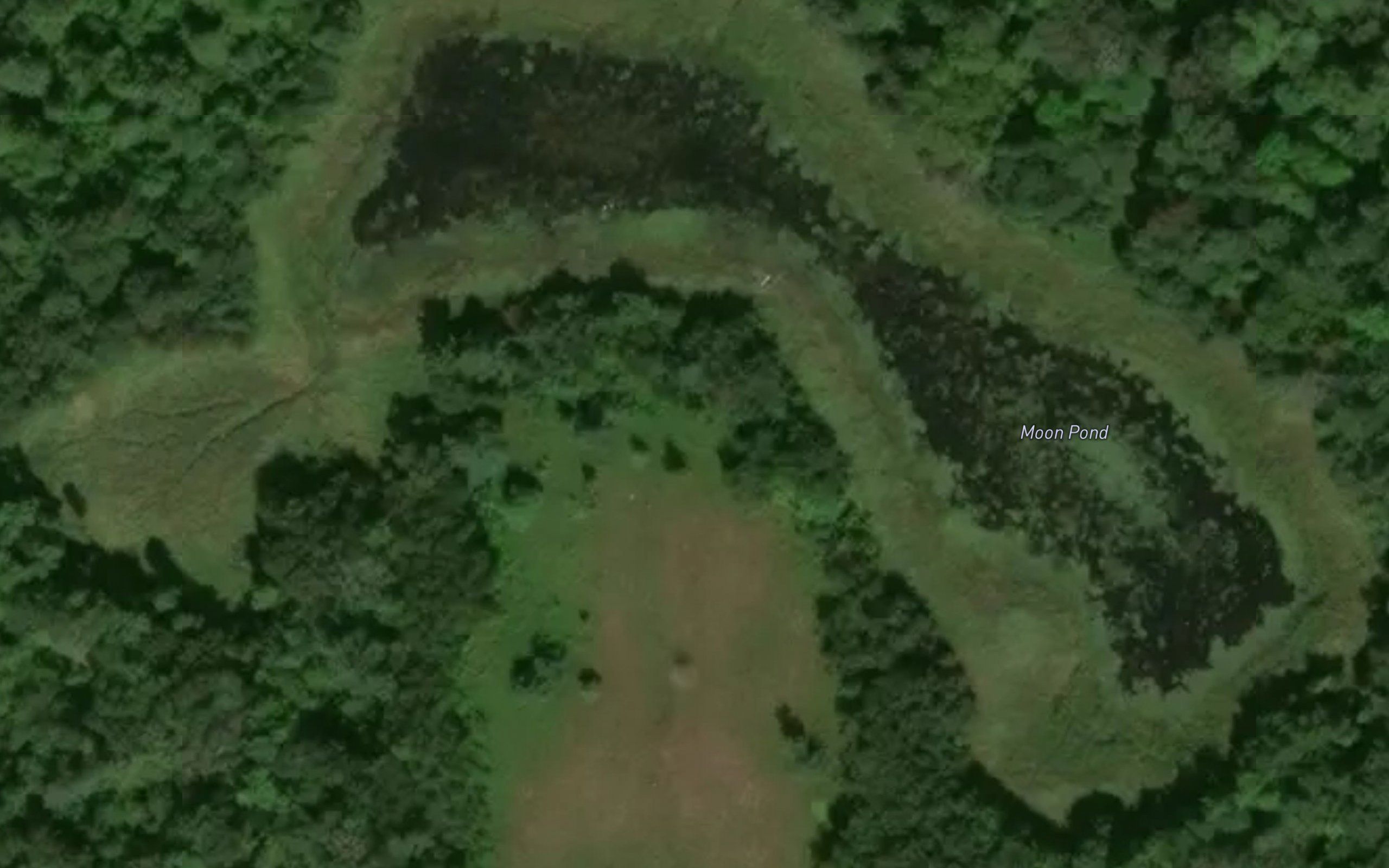 Moon Pond