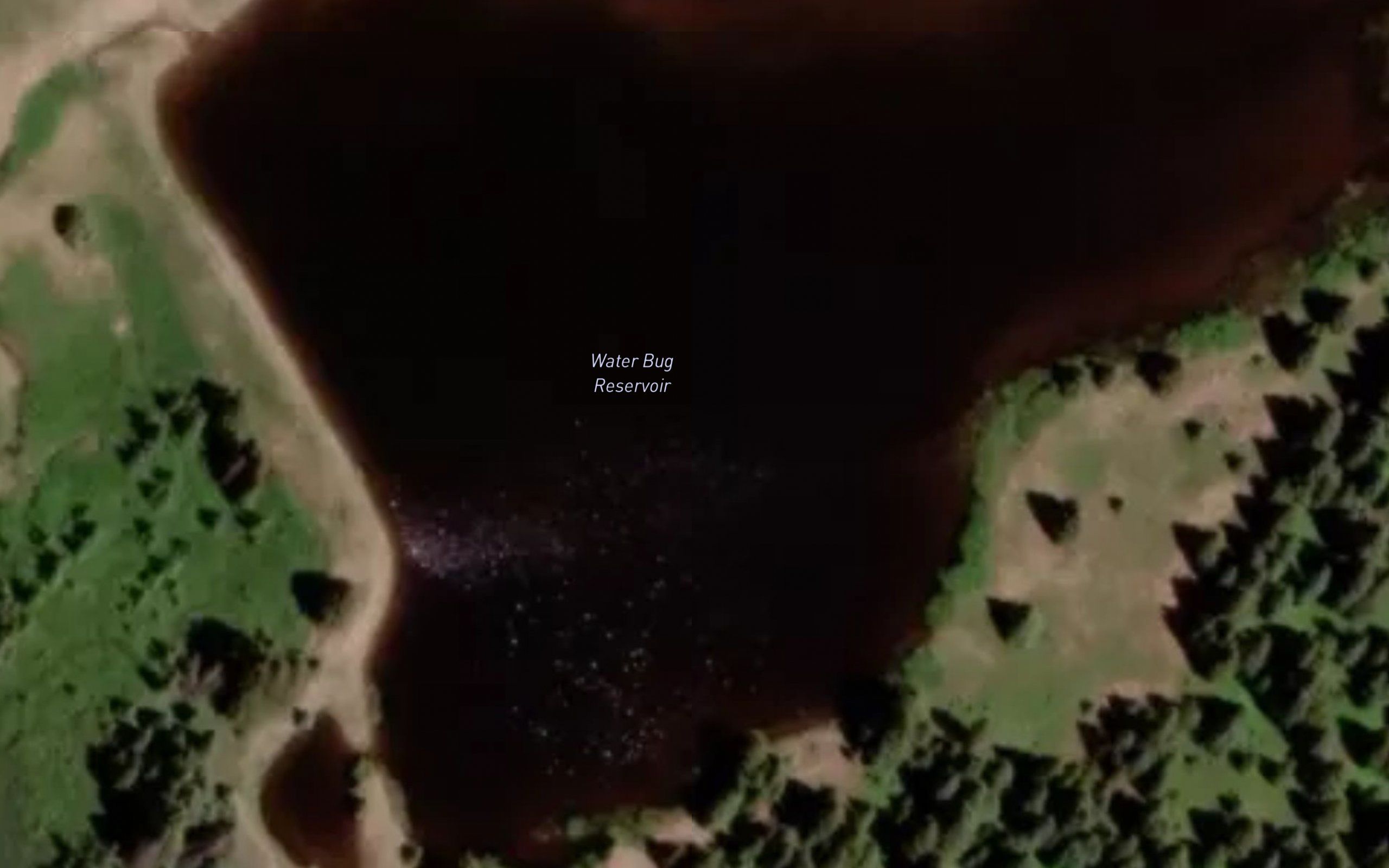 Water Bug Reservoir