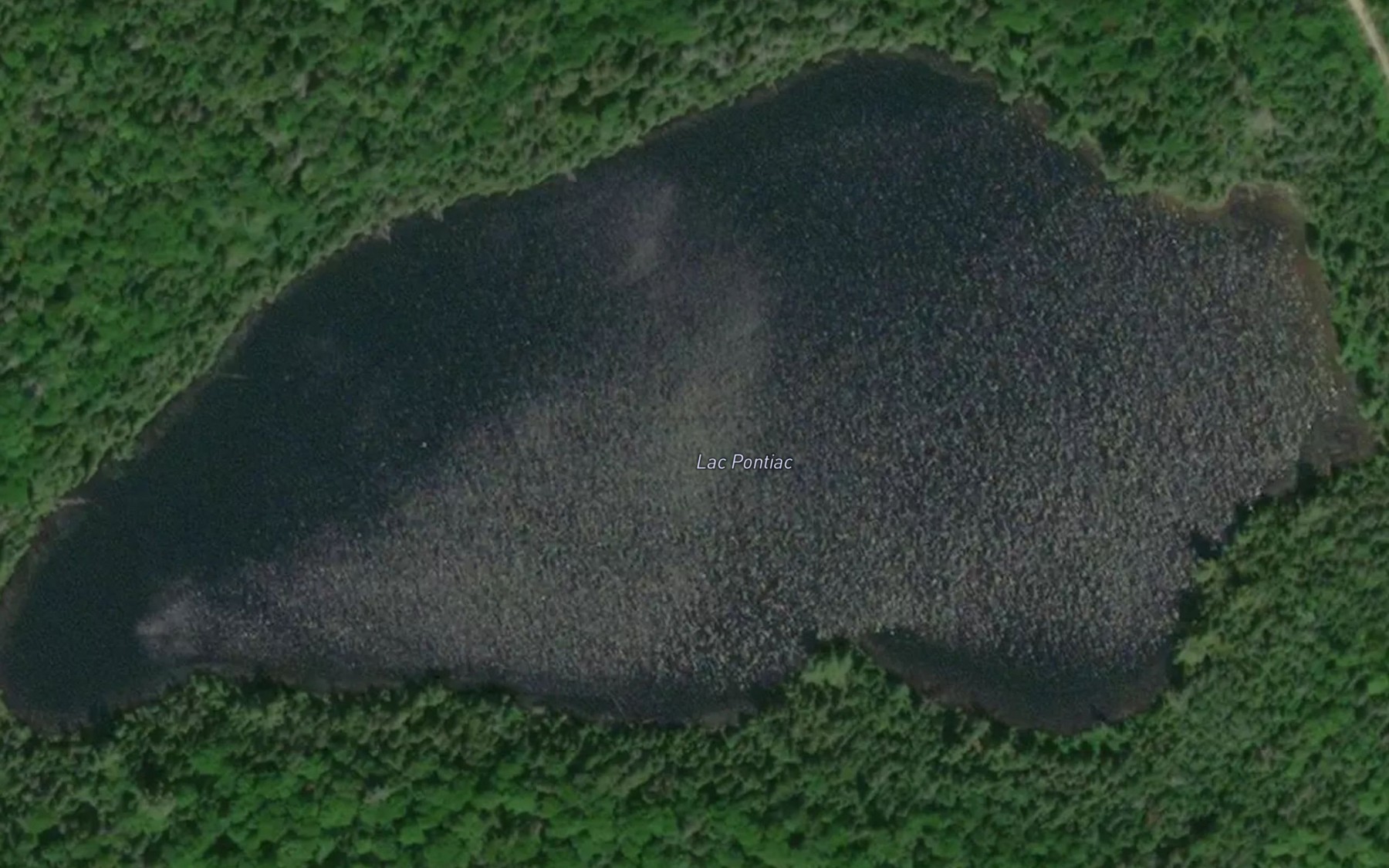 Satellite map of the Lac Pontiac