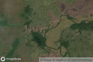 Burungims