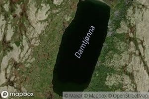 Damtjonna