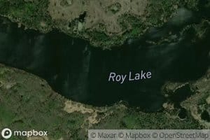 Roy Lake