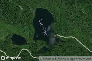 Lac Sims