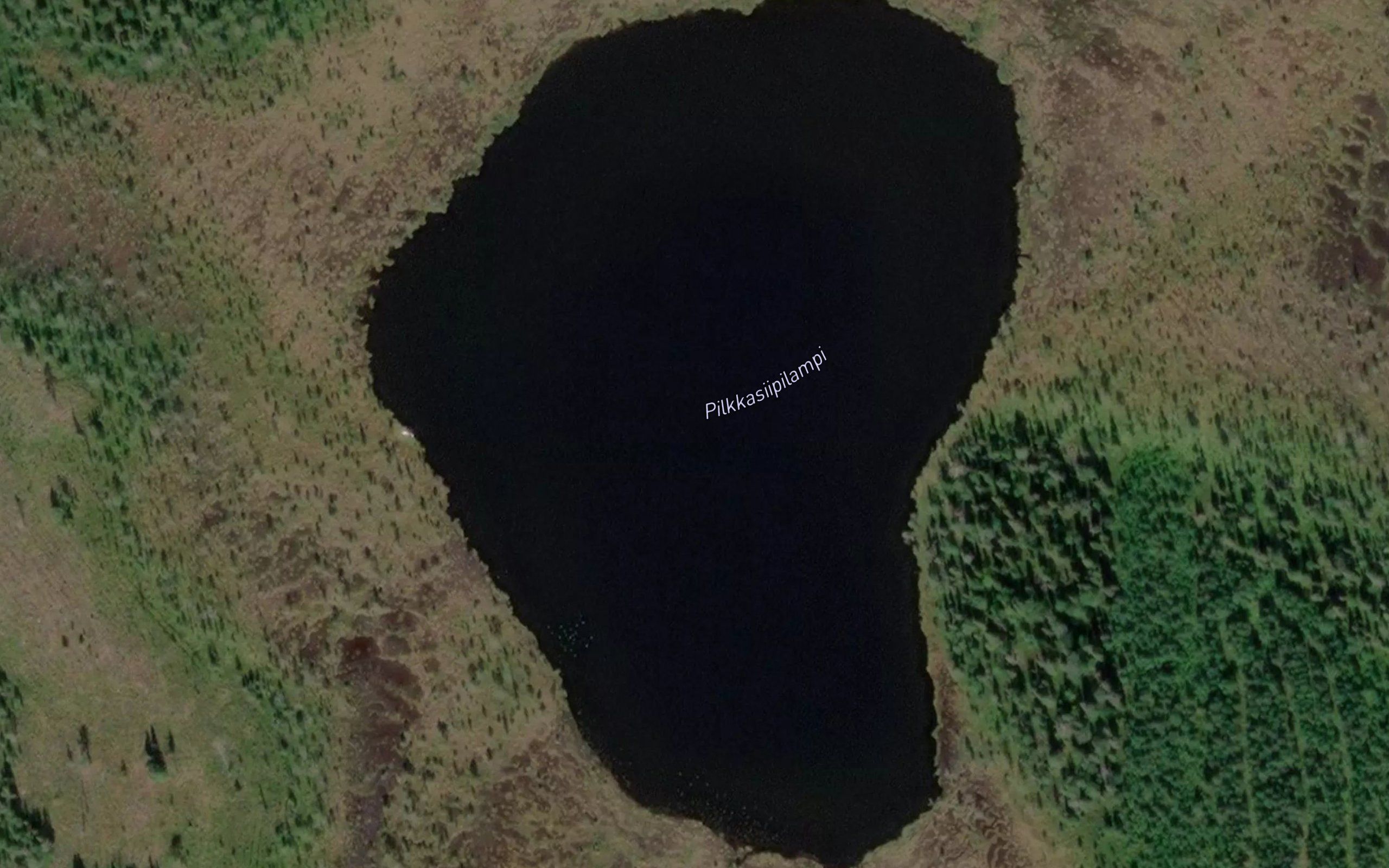 Pilkkasiipilampi