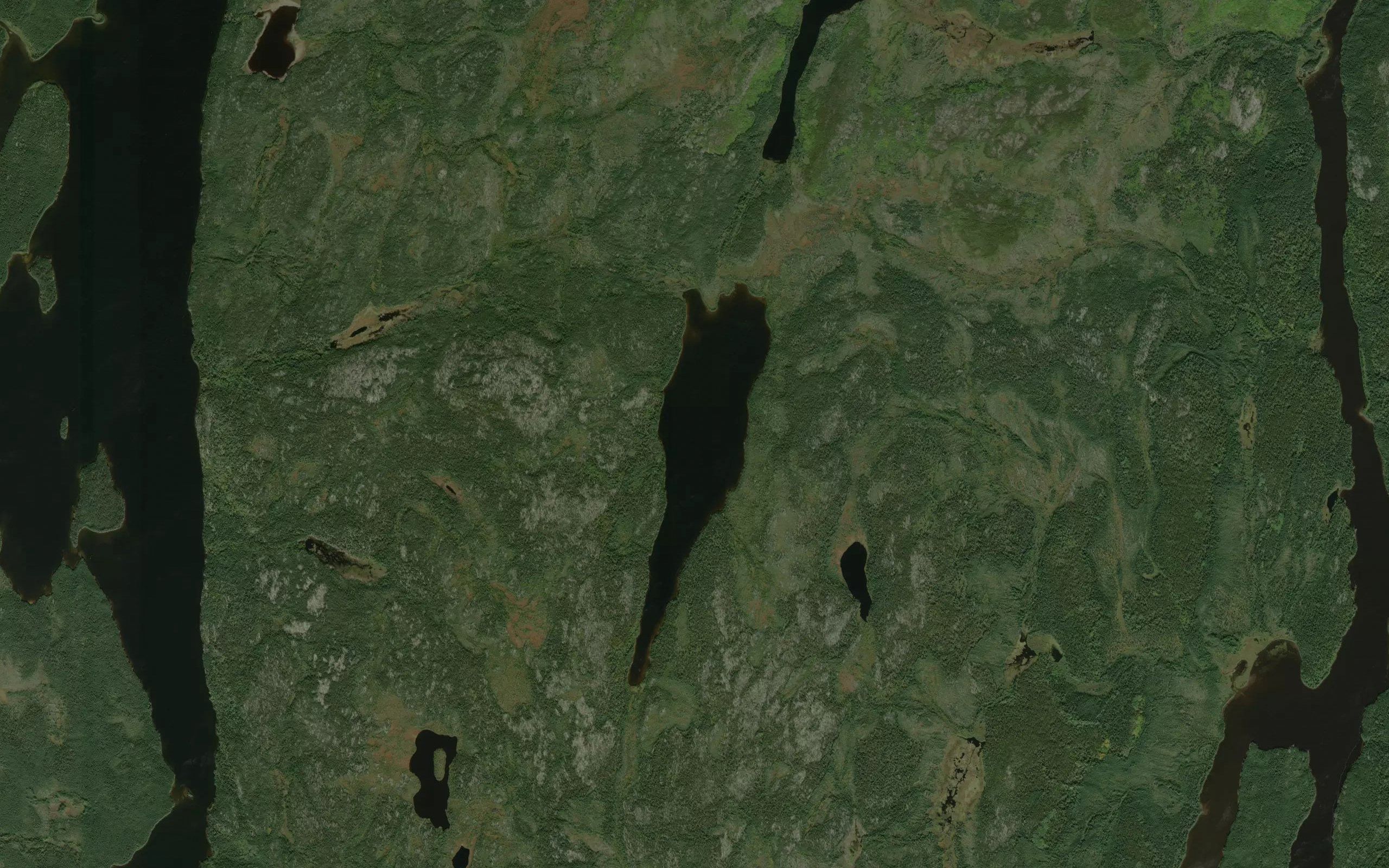 Jac Lake