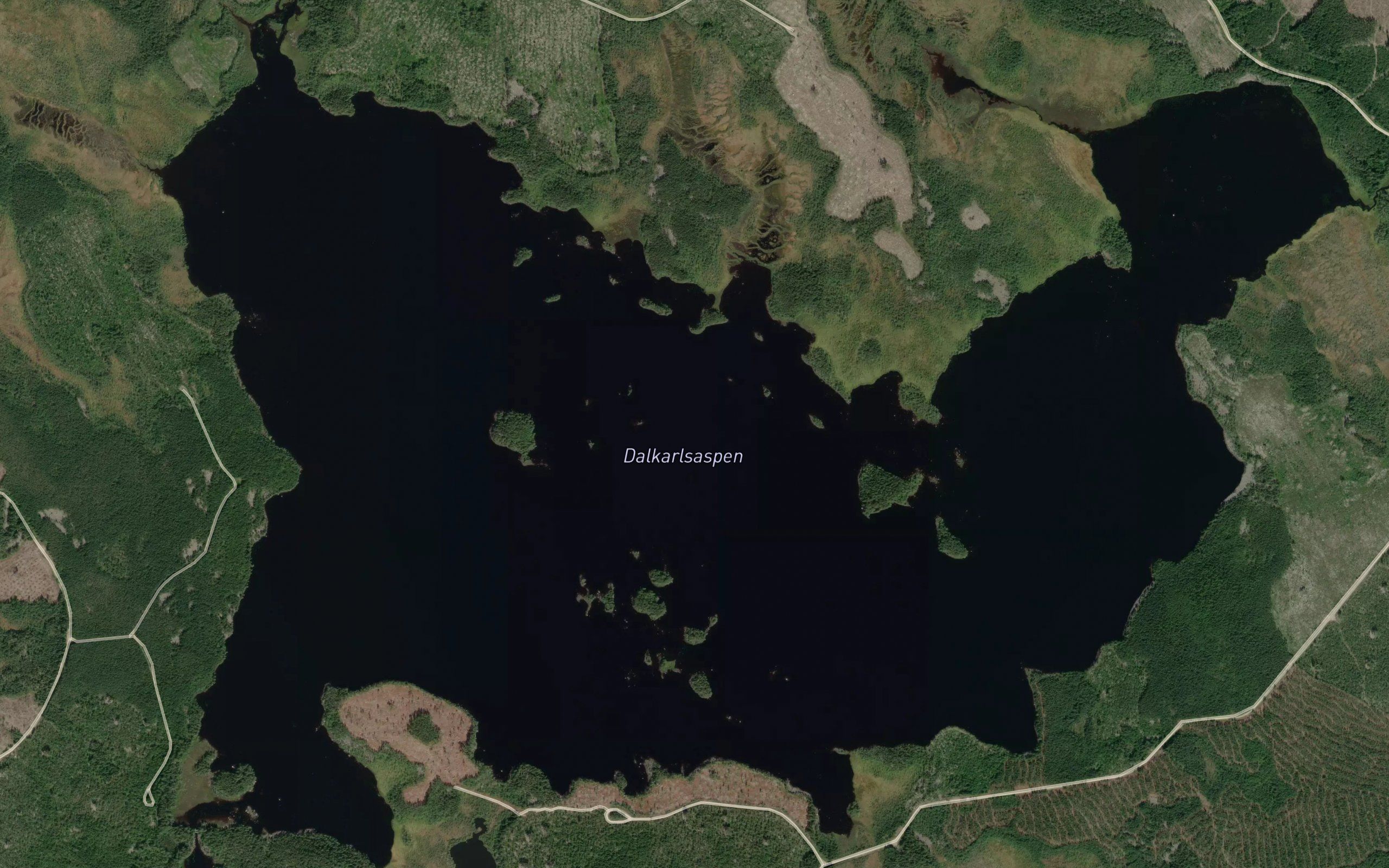 Dalkarlsaspen