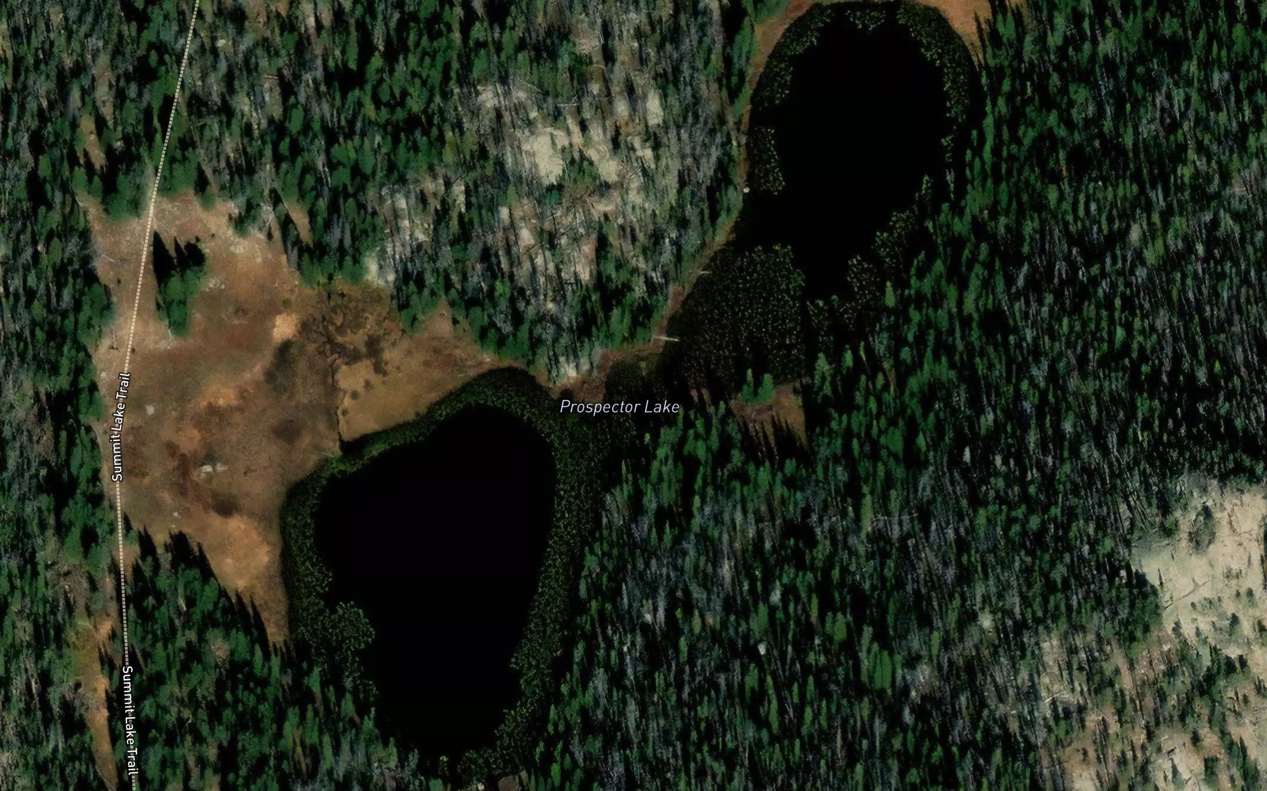 Prospector Lake