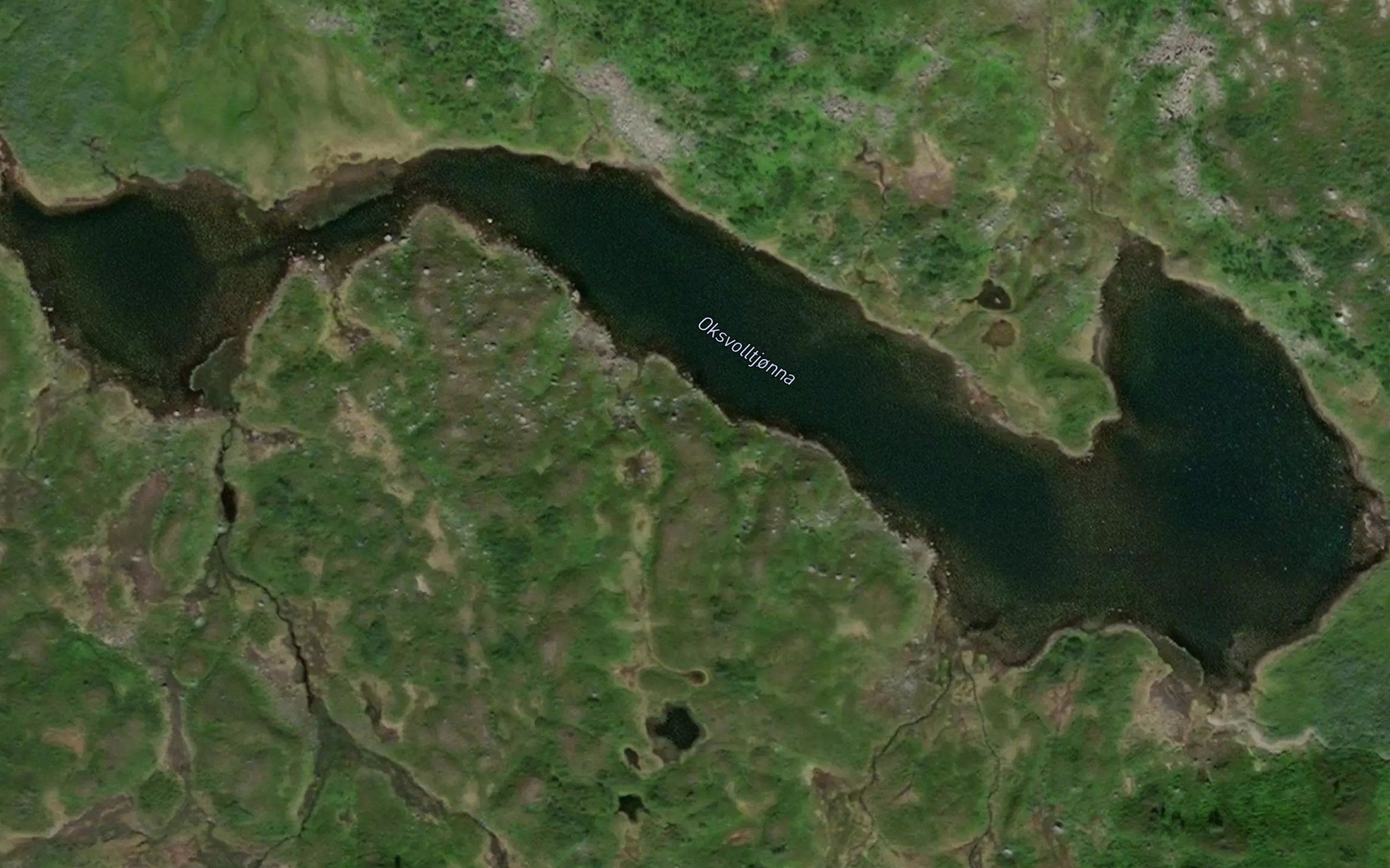 Oksvolltjorna